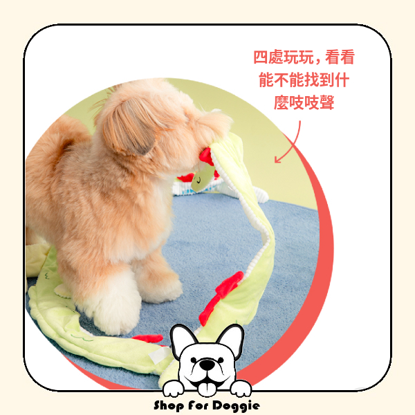 韓國 Bite Me Long Longs拖拉玩具