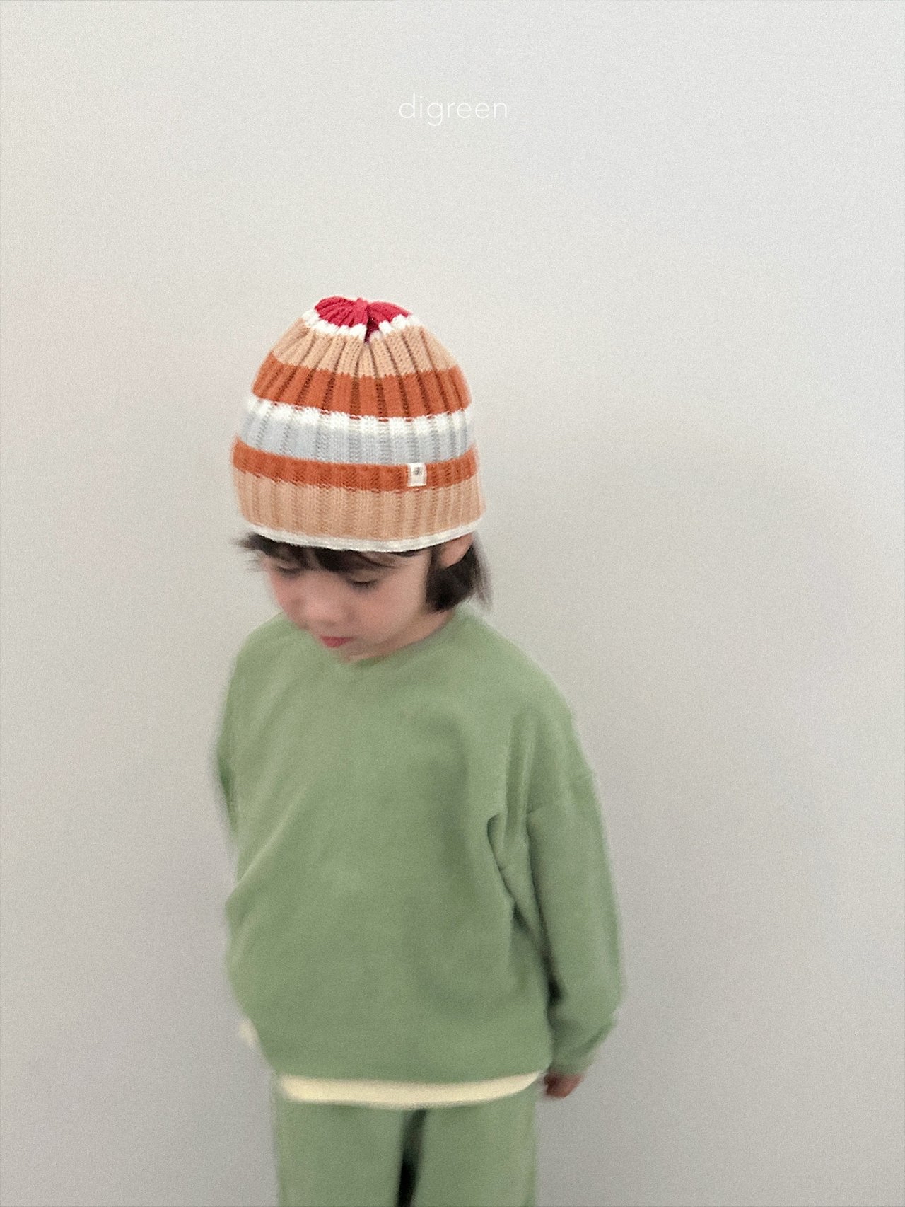 Digreen | multi beanie 