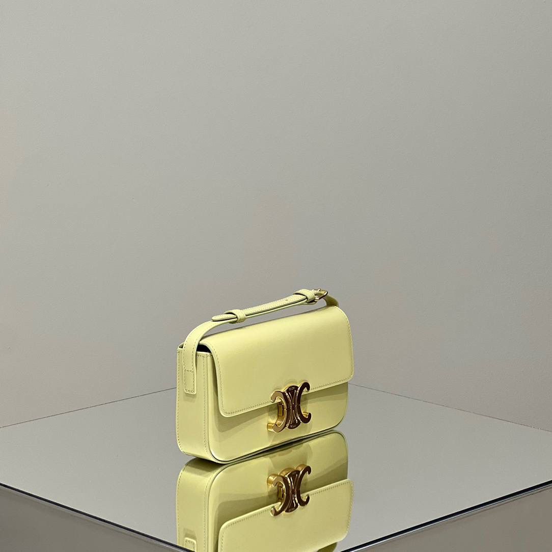 🔥大货实拍图 𝗖𝗘𝗟𝗜𝗡𝗘 ♥ 𝗧𝗥𝗜𝗢𝗠𝗣𝗛𝗘 𝗦𝗛𝗢𝗨𝗟𝗗𝗘𝗥 𝗕𝗔𝗚 型号：194143 尺寸：20*10*4cm