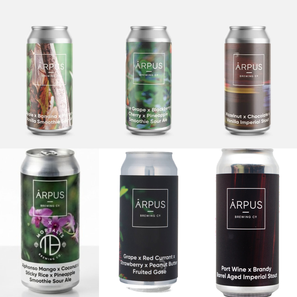Arpus Brewing SMOOTHIE SOUR / FRUITED GOSE / IMPERIAL STOUT