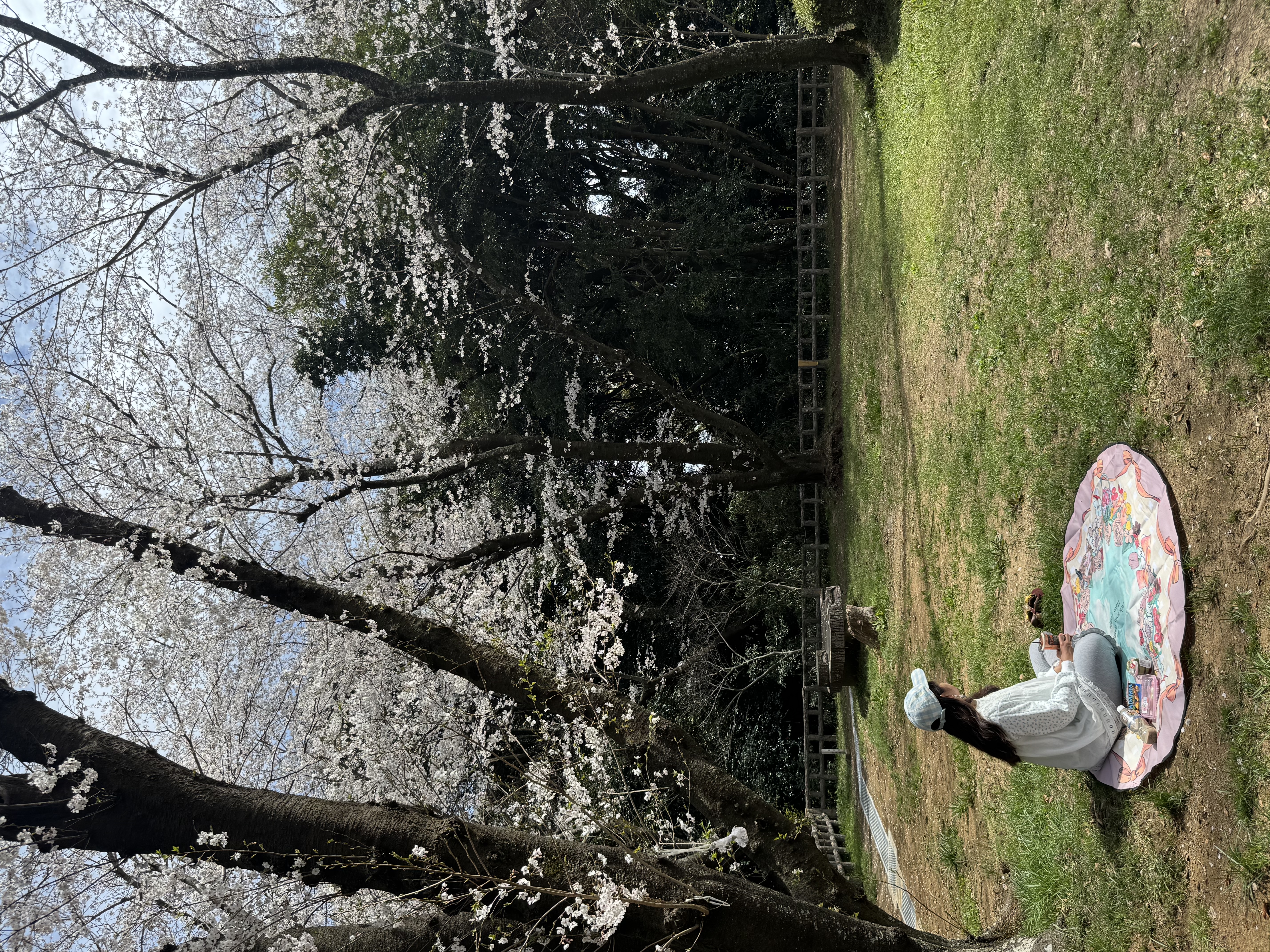 Miss Summer {Blue sky party} 野餐墊 + 保冷袋