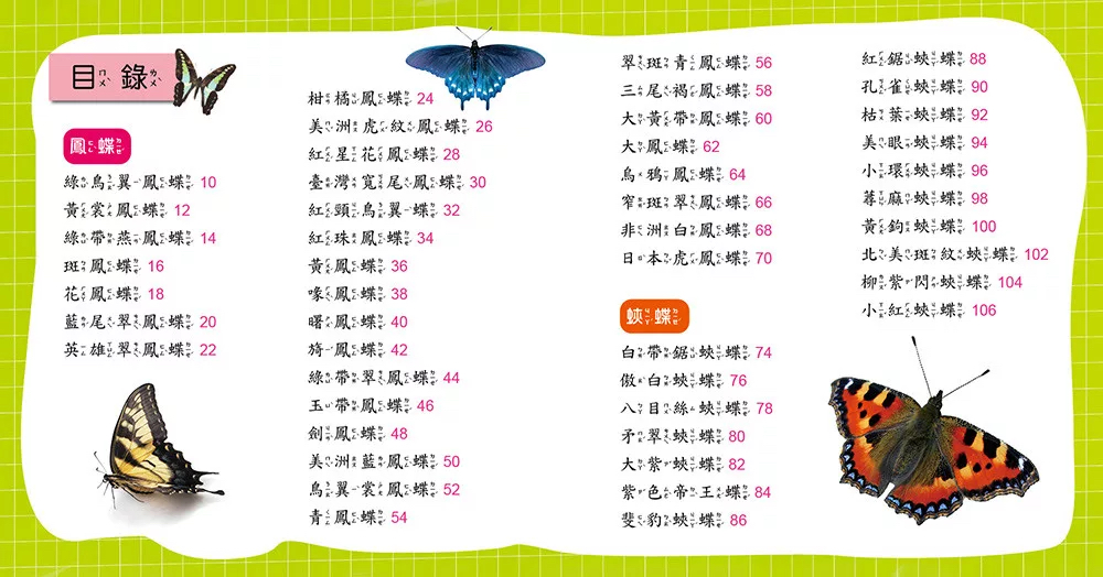 🔸預購貨品🔸蝴蝶小百科