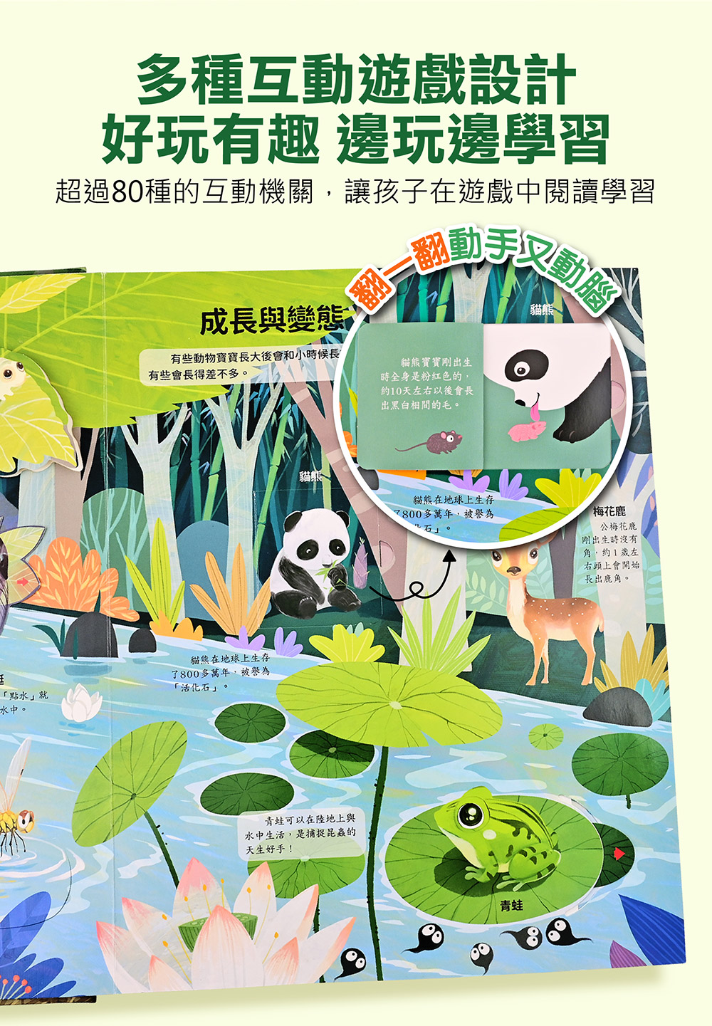 風車 神奇的動物百科立體翻翻書