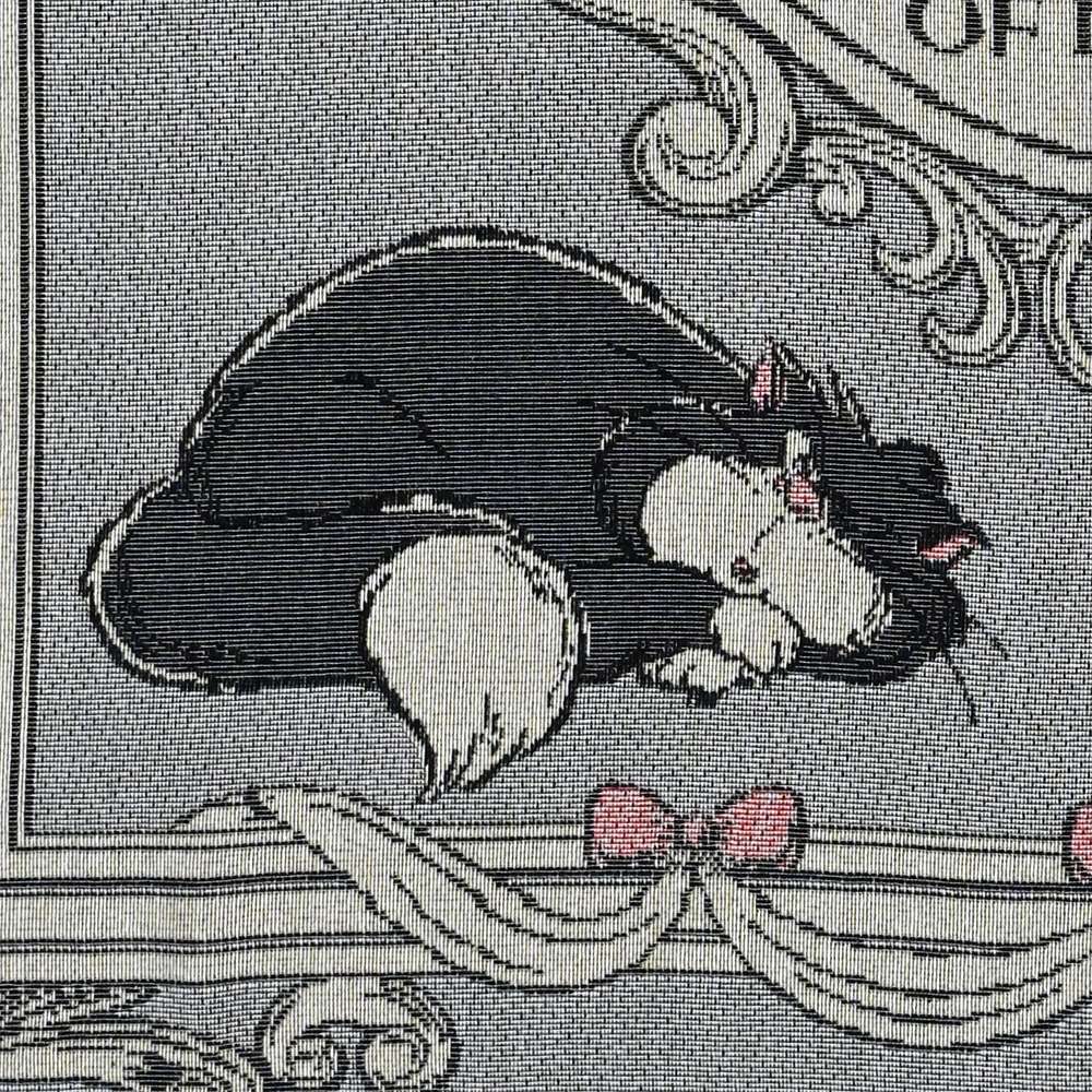 🎀【預訂】Disney Cat Day Lucifer Blanket