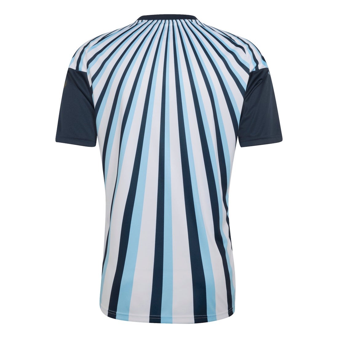 藍白榮耀再度啟航 Adidas Argentina 阿根廷 2026-27 主場賽前訓練球衣 JY9530