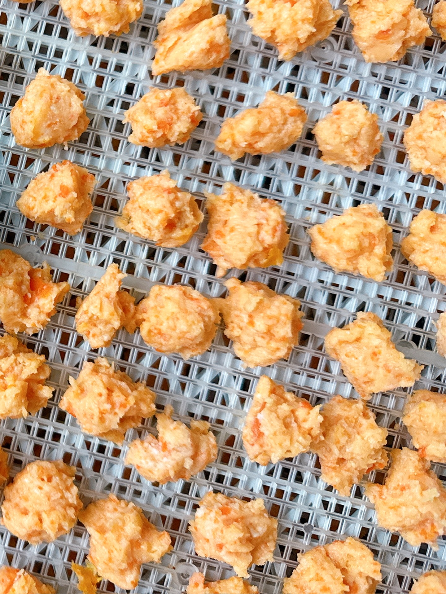 寵物養生健康小食 — 爆谷造型（鴨肉口味）
