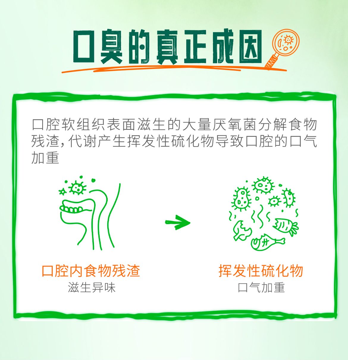 Therabreath 凱斯博士 漱口水 口氣清新口腔漱液 溫和薄荷味 1L*2枝 平行進口 此日期前: 2027-08-01