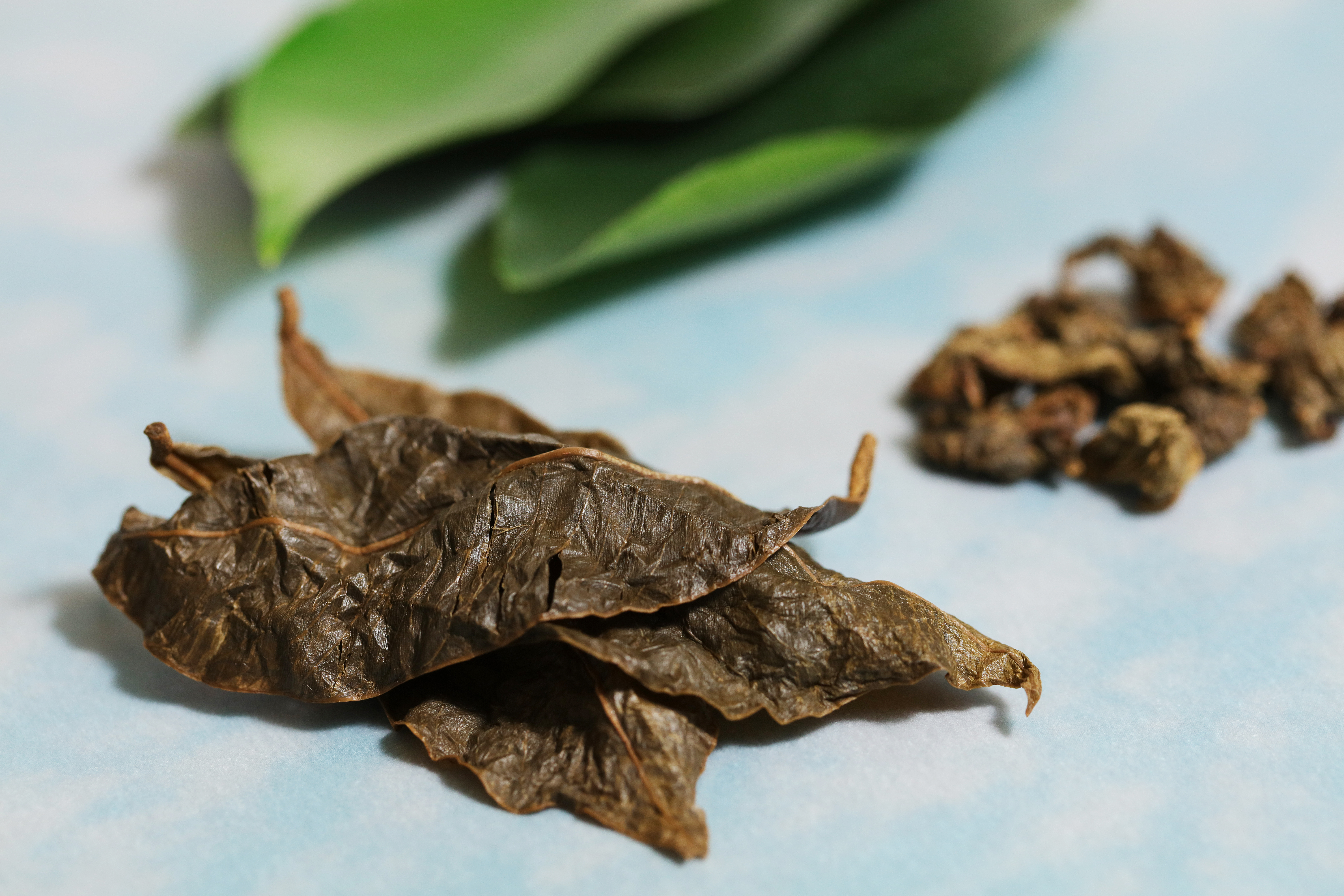 沉香葉保健茶Agarwood Leaf Health Tea 30小包 150克(中國香港及內地同步發售)
