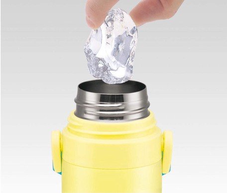 Skater 蠟筆小新 超輕量不鏽鋼保冷專用水樽 470ml