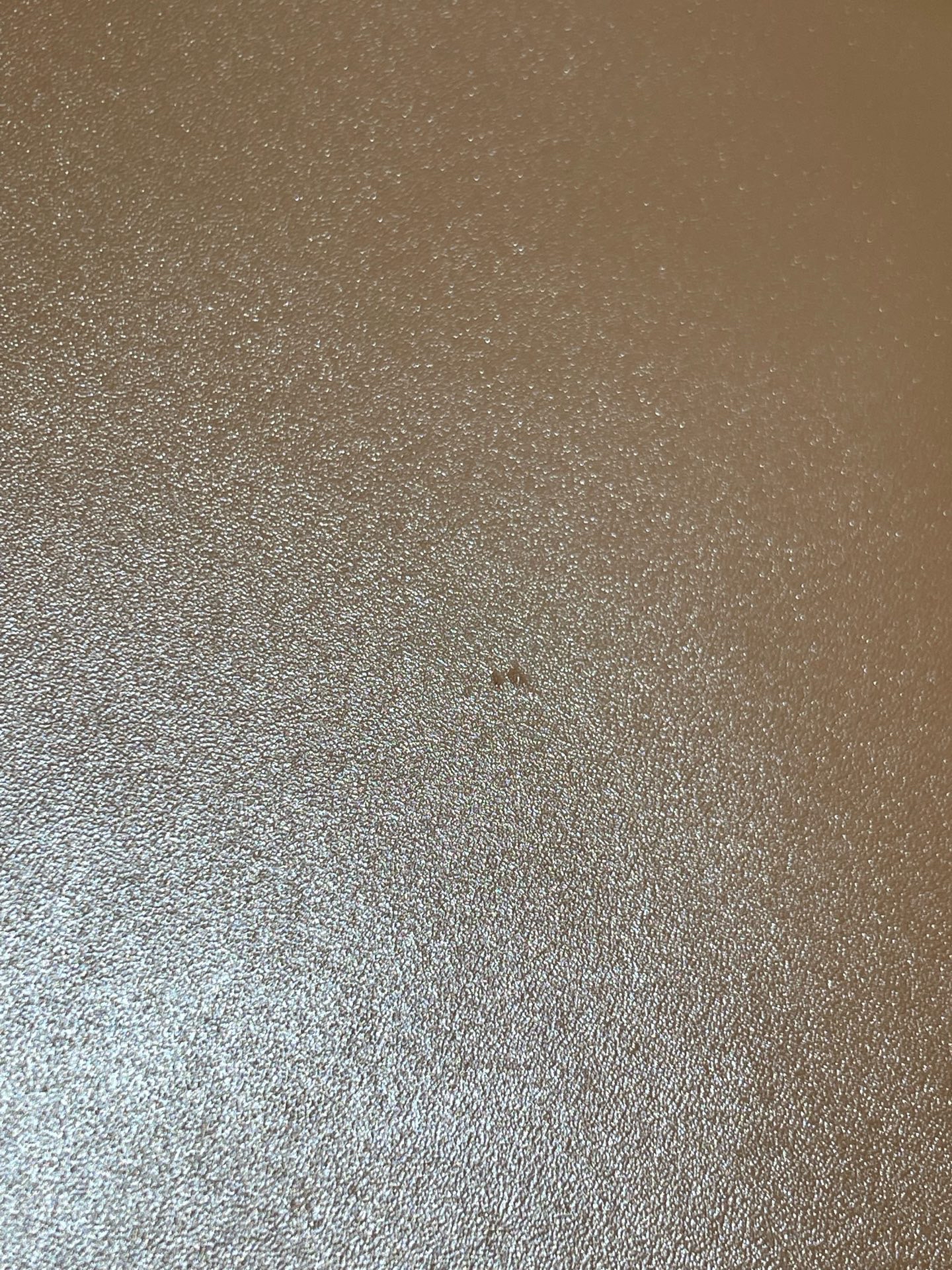 【預訂貨品】FENDI焦糖色金扣風琴包