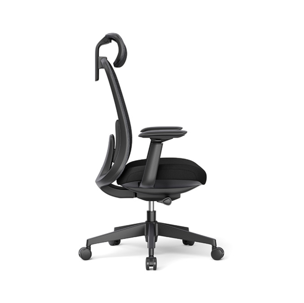Crescent, Ergonomic Chair Office Chair