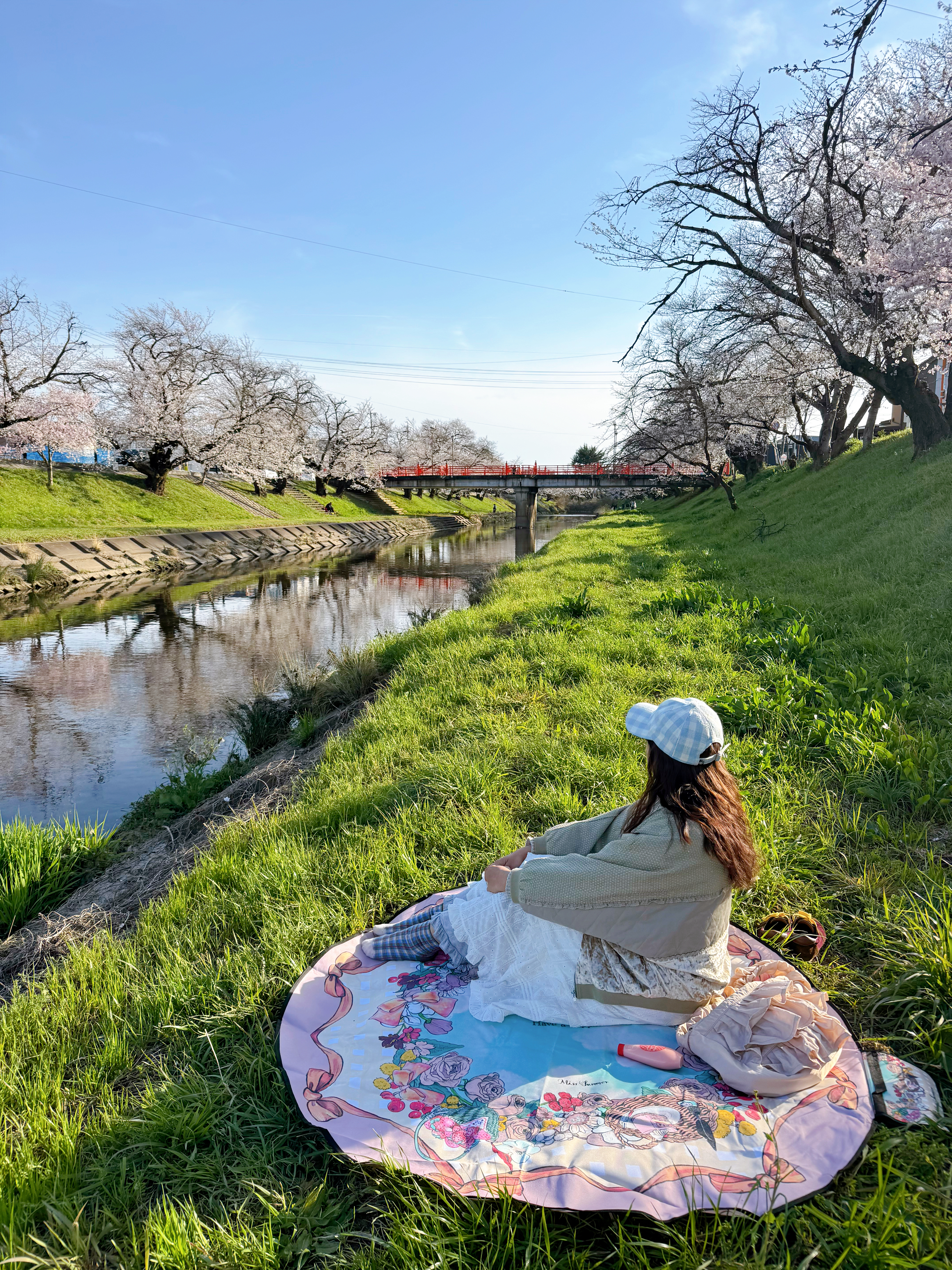 Miss Summer {Blue sky party} 野餐墊 + 保冷袋