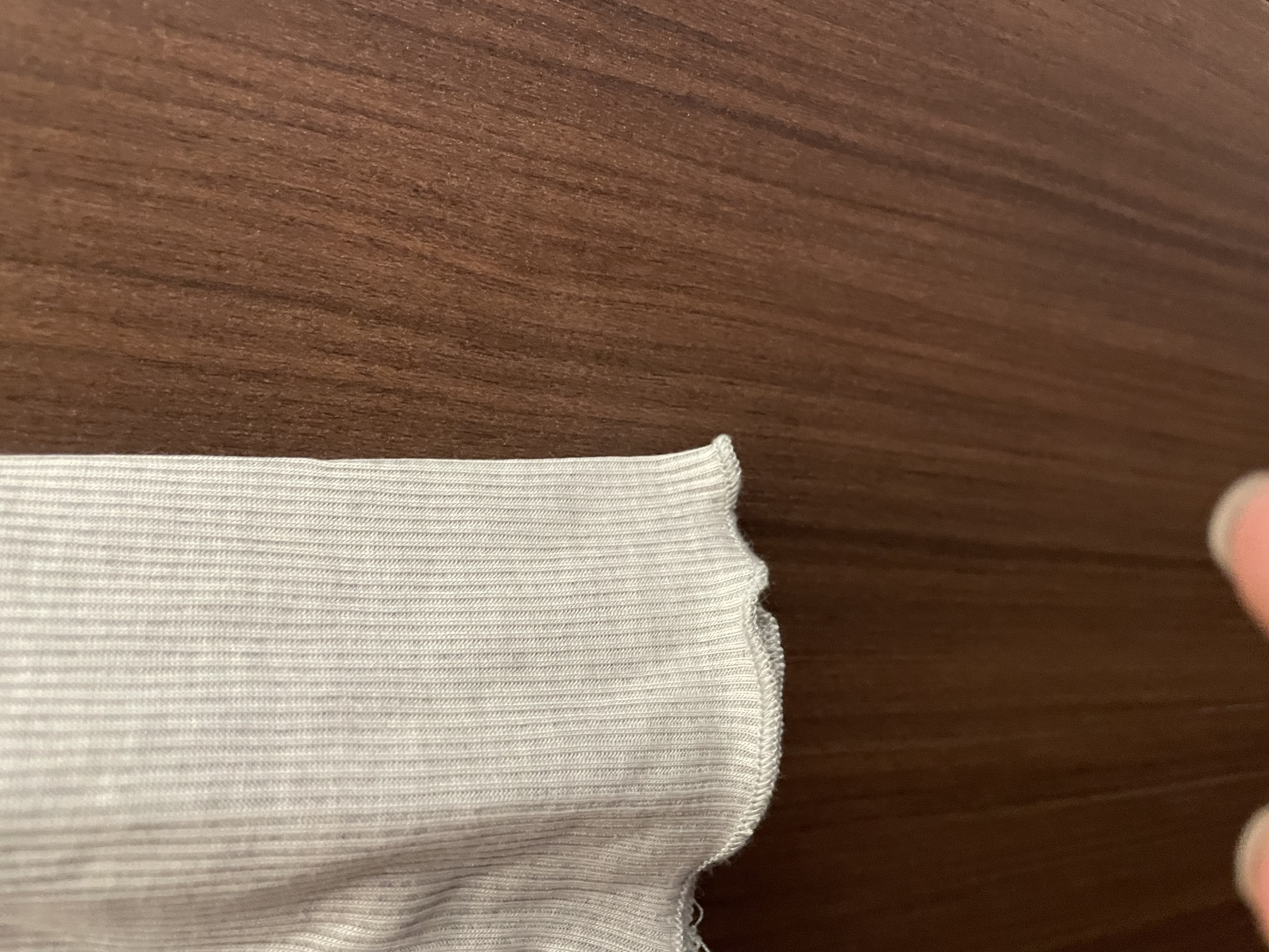 🍂SEE-THROUGH LAYER TOP