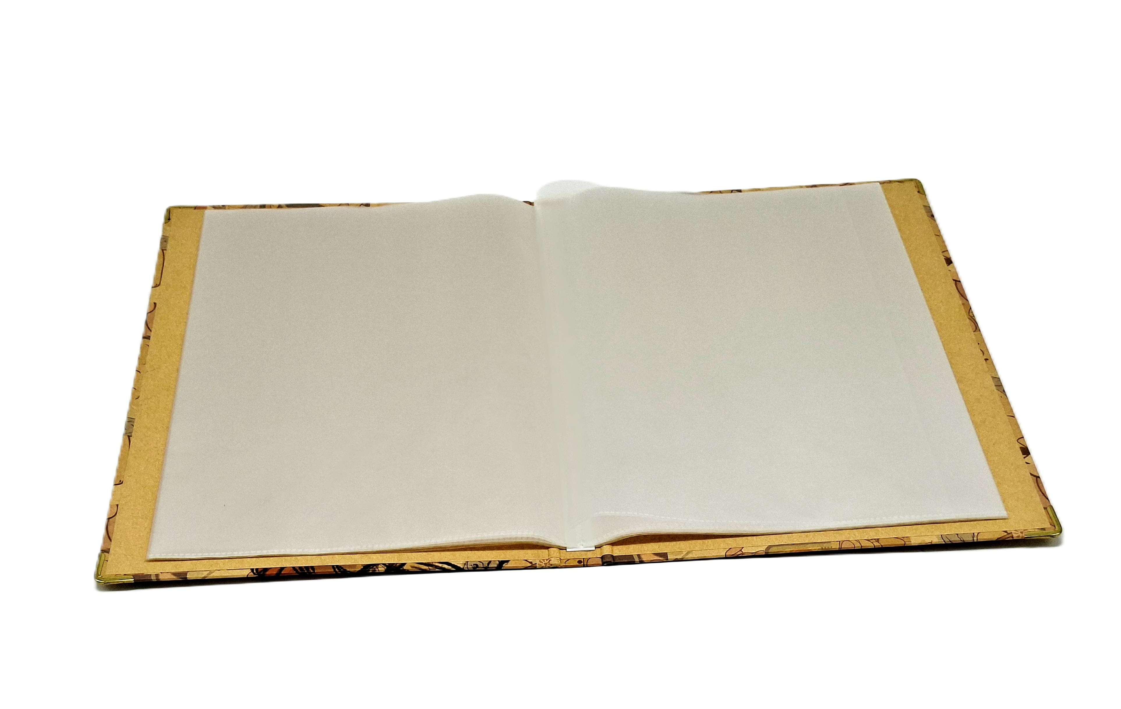 20入 A4 資料本 Winnie the Pooh  維尼熊  (DPAA-253A)