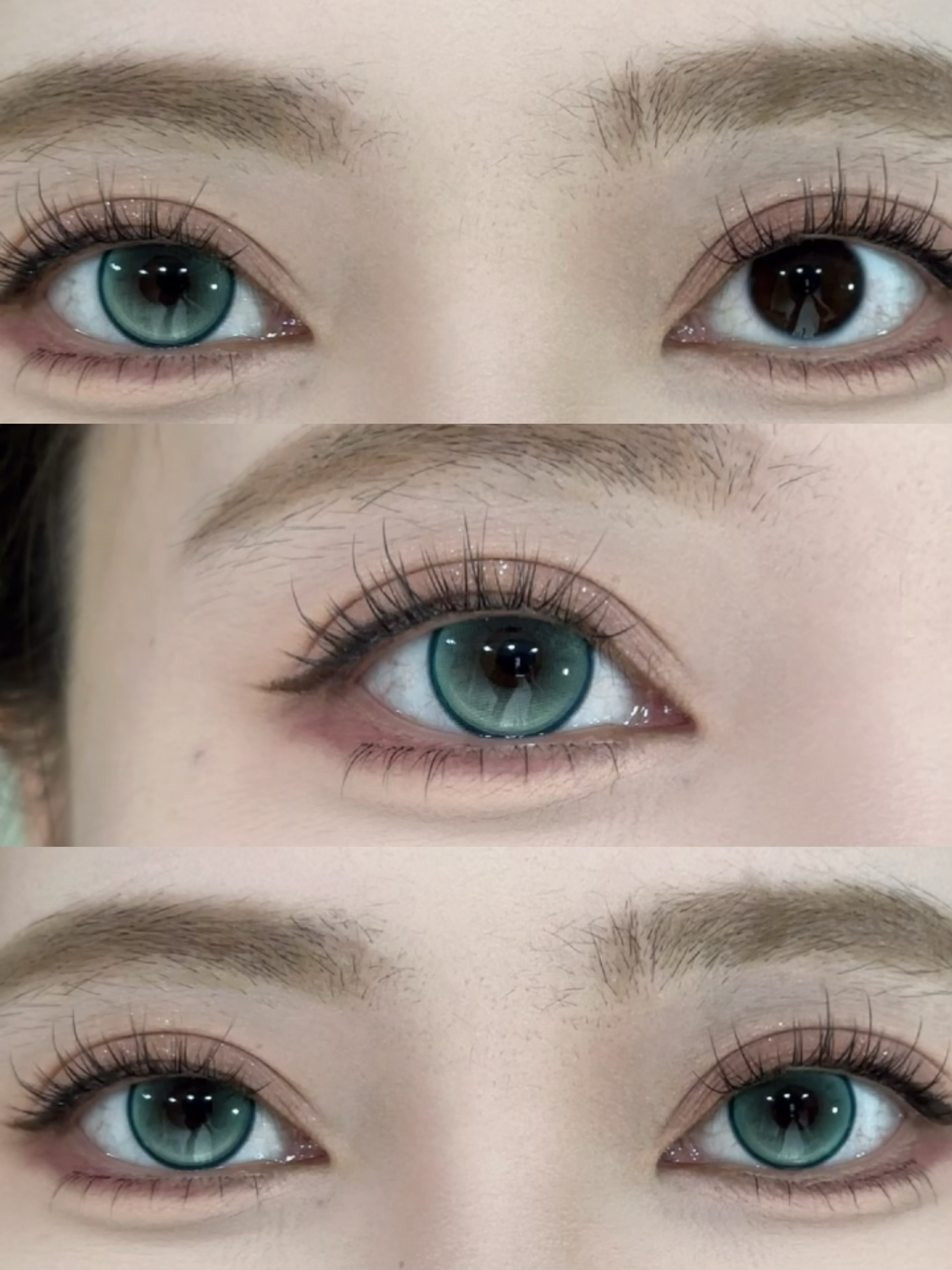 Serltyca 日拋6片裝 奶呼小熊系列