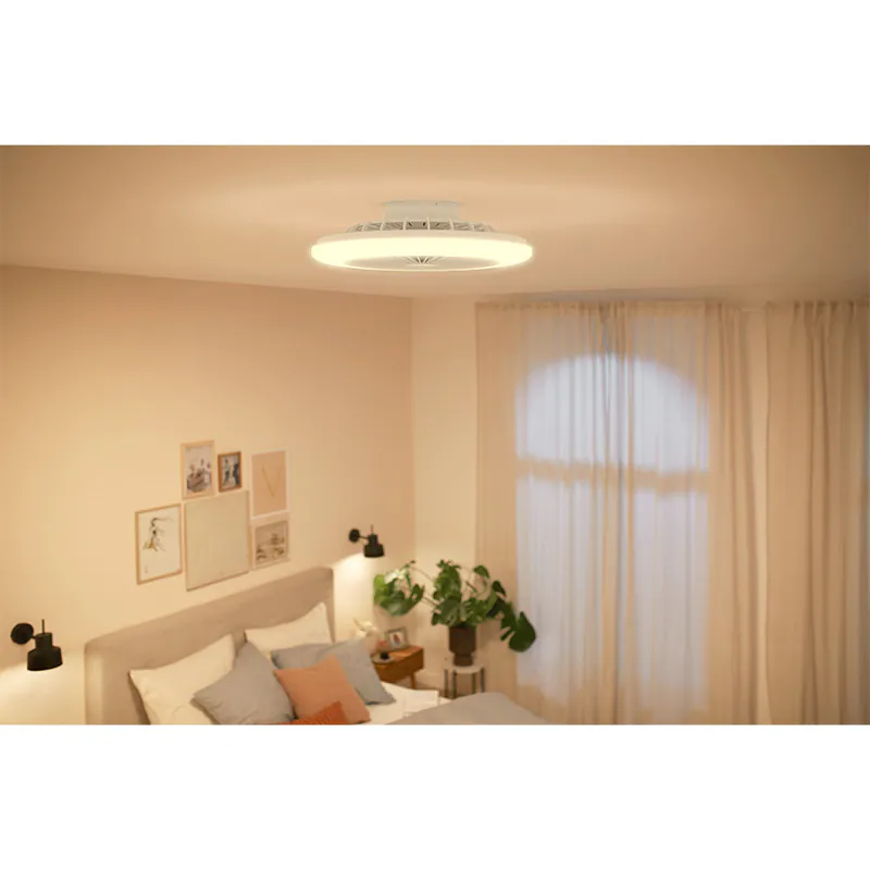 [飛利浦直送 原裝行貨2年保養] 飛利浦 Amigo 平面風扇燈（IR遙控版）– 風扇20W + LED燈42W RD 超薄設計 靜音節能 現代簡約 Philips Amigo Flat Ceiling Fan with LED Light (IR Remote) – 20W Fan + 42W Light RD 929003338201