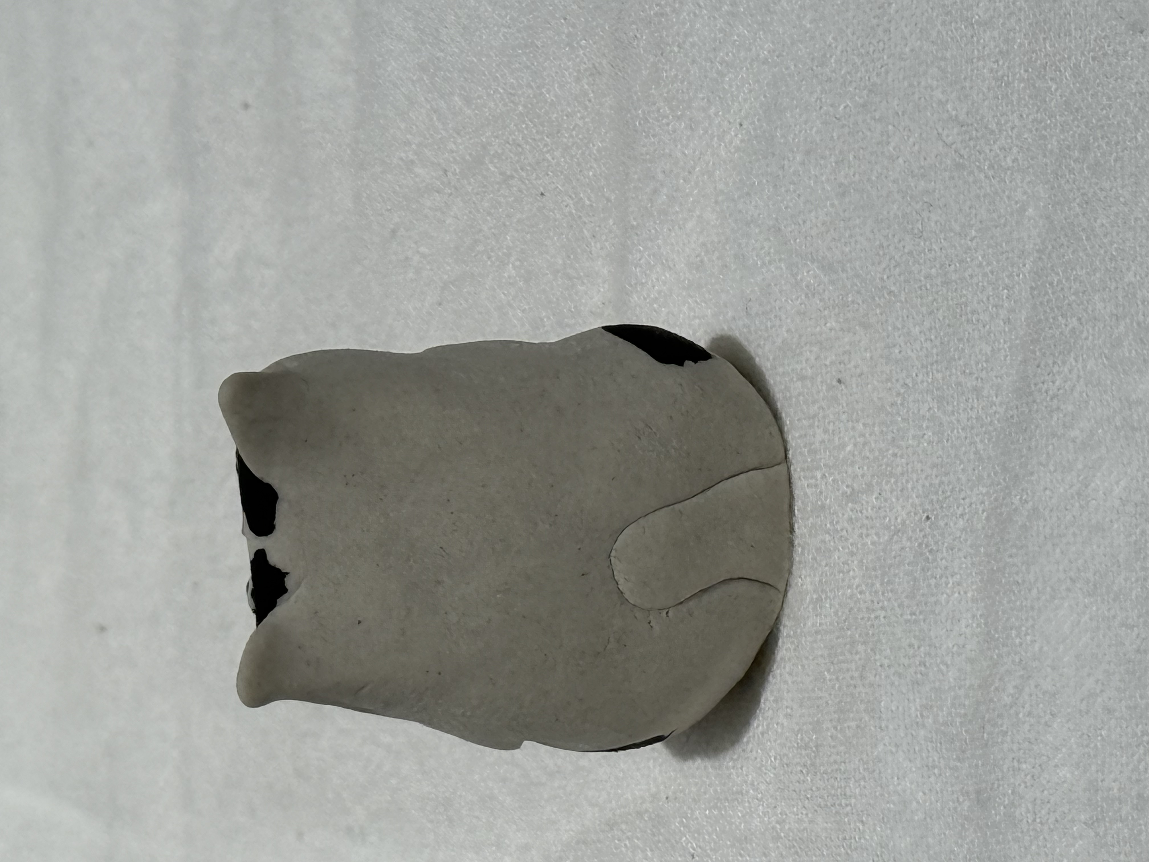 半澤淳子 貓貓系列 A-K款 