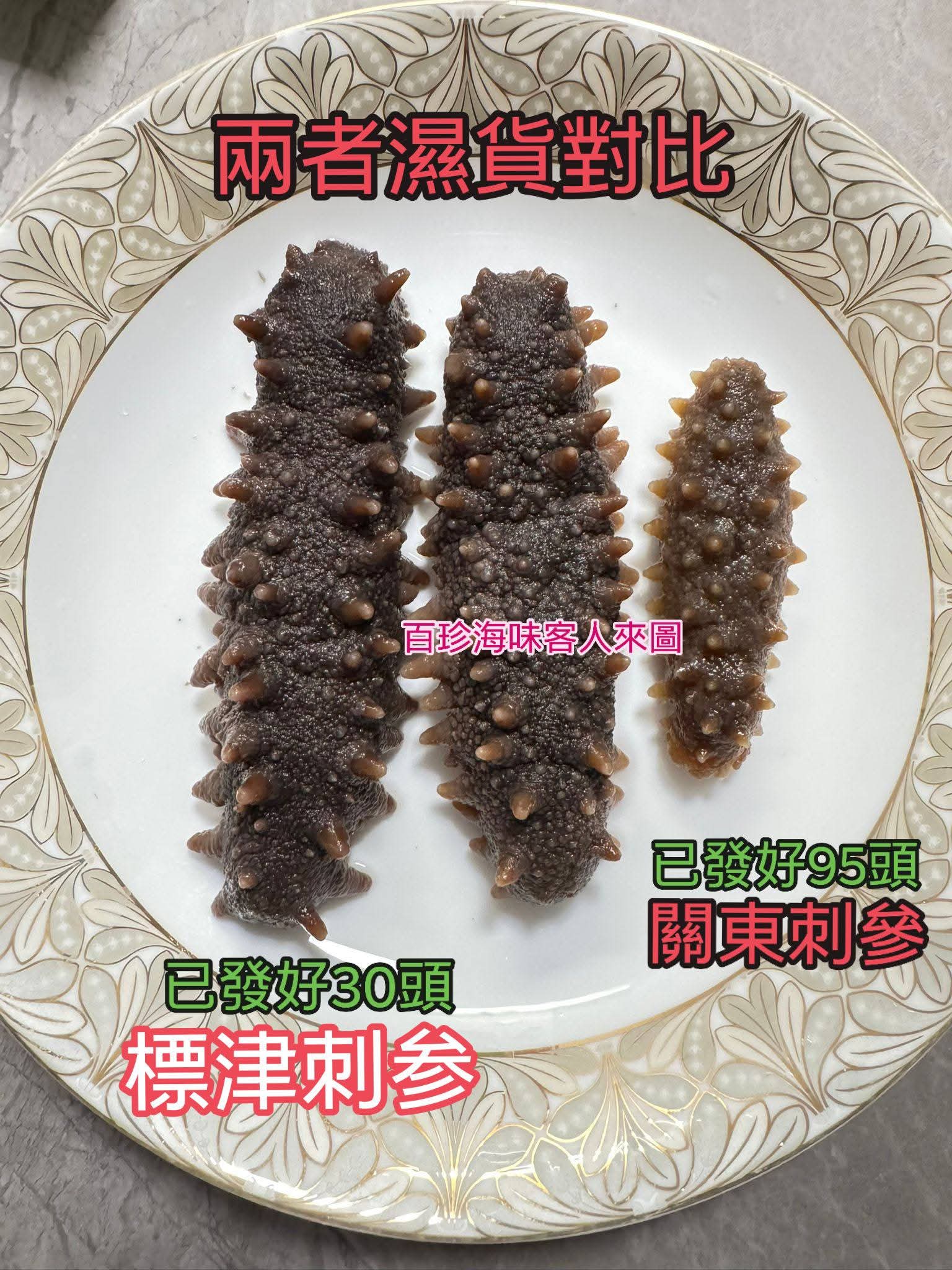 日本野生北海道標津刺參約30條