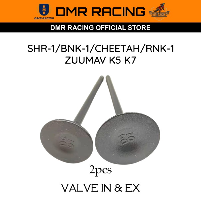 SHR-1/3/BNK-1/3/HJ250/KEWS250/N911-F/BSE MOJO/KAYO T4/CB250-G/CB250-F Standard Original Valve In & Ex (Motocross China)