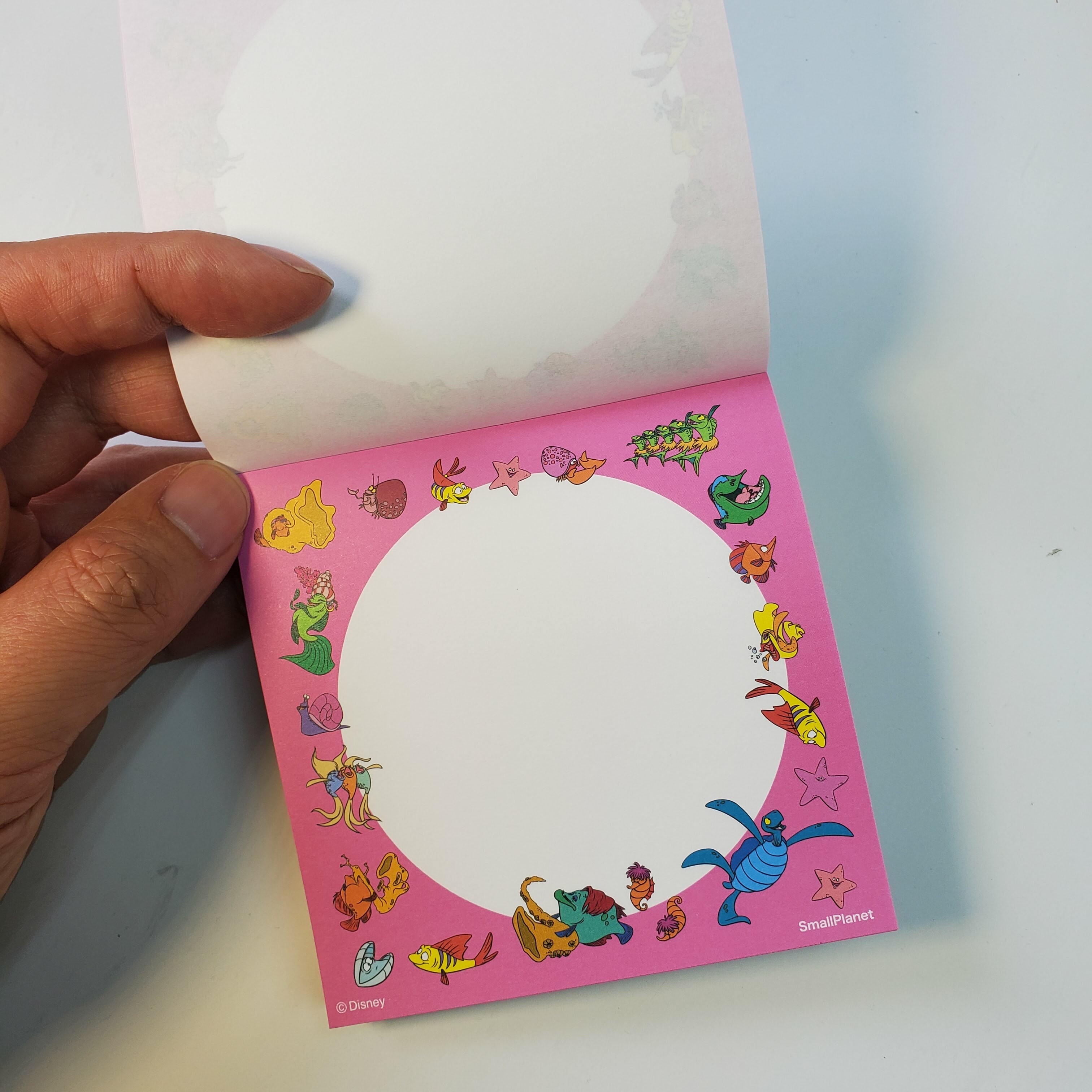 [現貨] [日本製] ARIEL ｜ MEMO PAD {TF2303170}