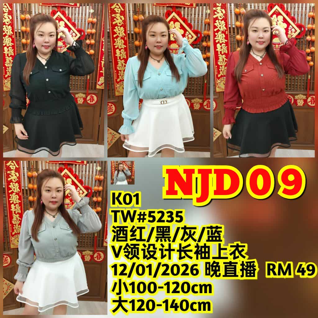 NJD09 TW#5235 V领设计长袖上衣