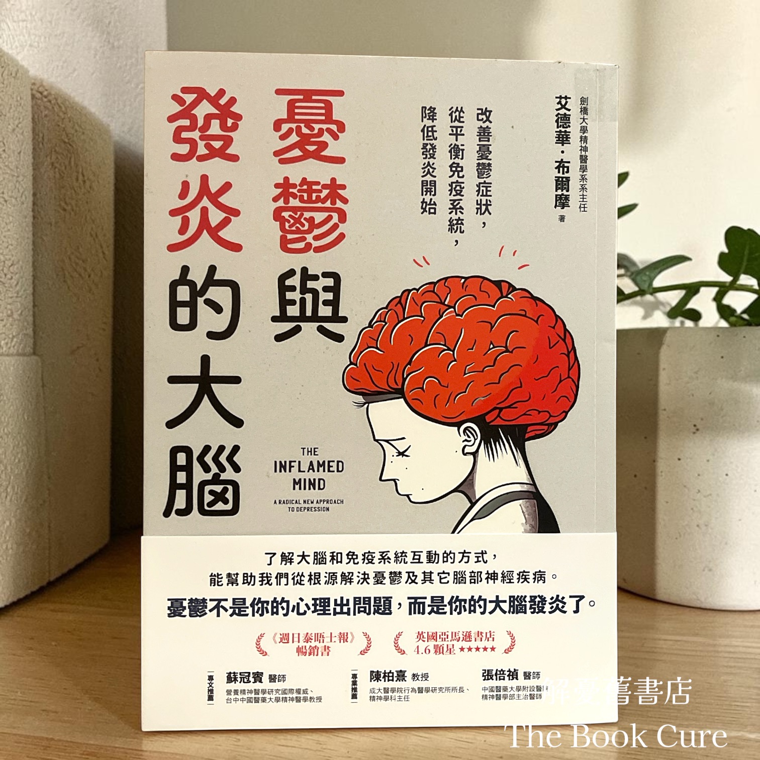 㥑鬱與發炎的大腦 / 艾德華．布爾摩 著