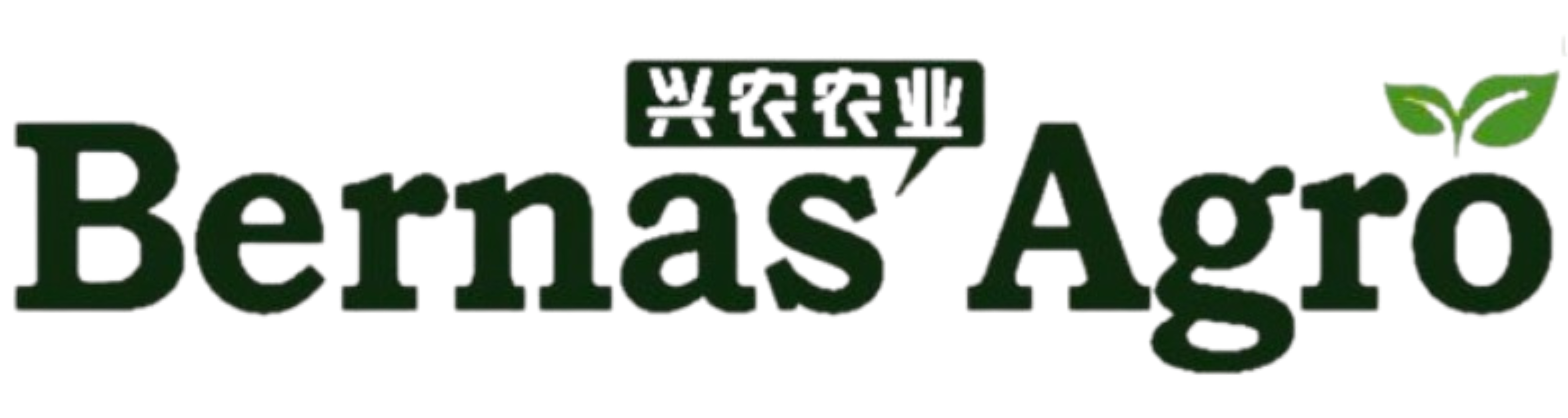 bernasagromax