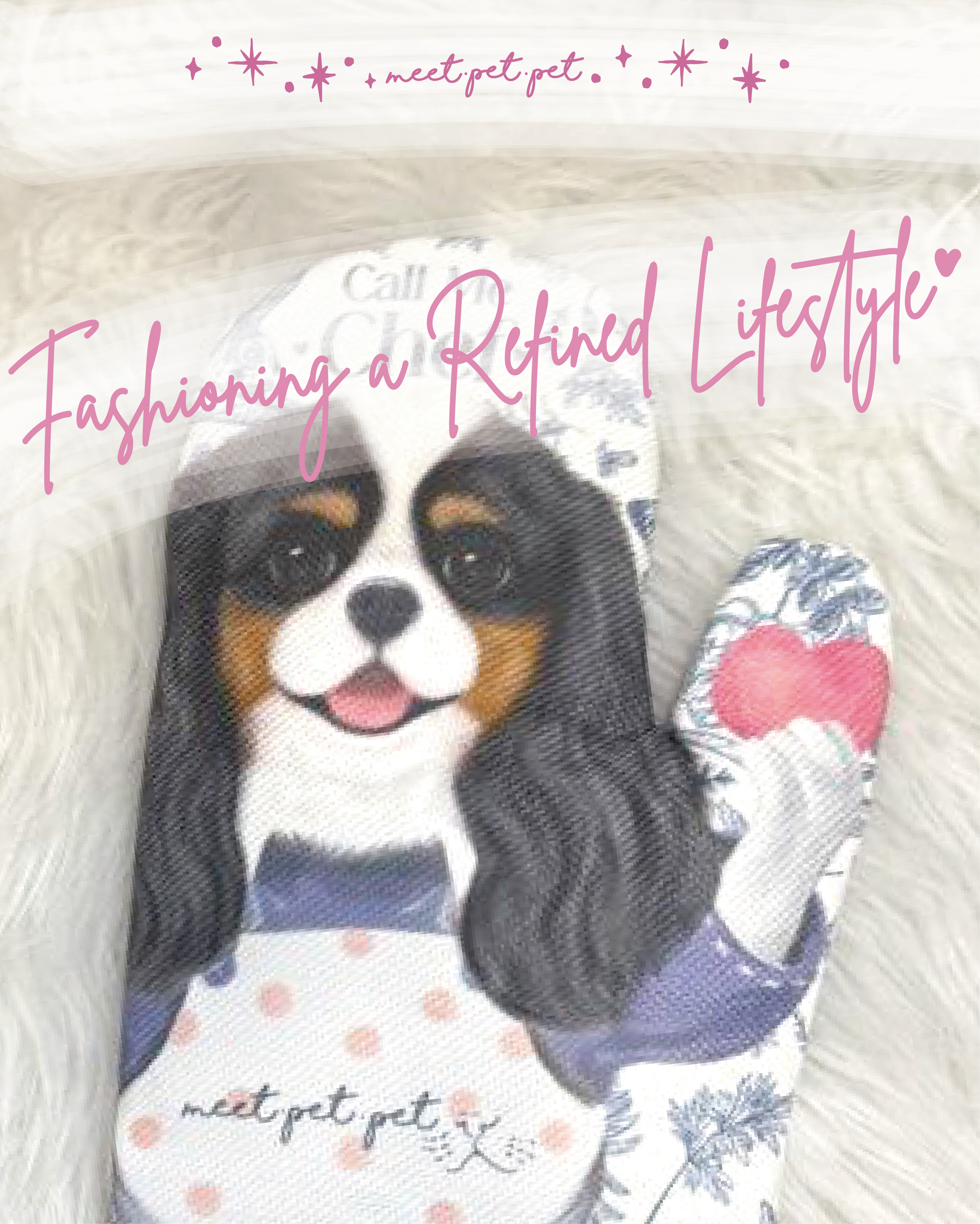 ⋆ 查理斯 ⋆ 隔熱手套 ⋆ Cavalier King Charles Spaniel ⋆