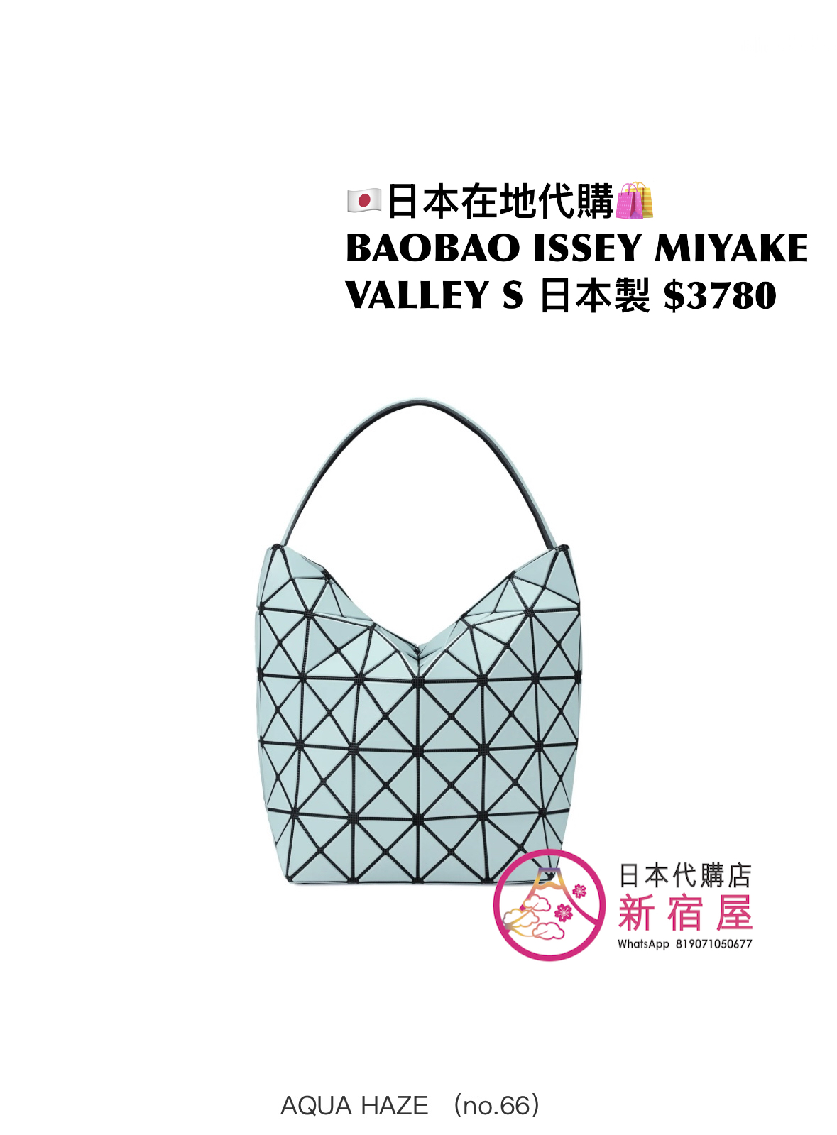 BAOBAO ISSEY MIYAKE VALLEY S
