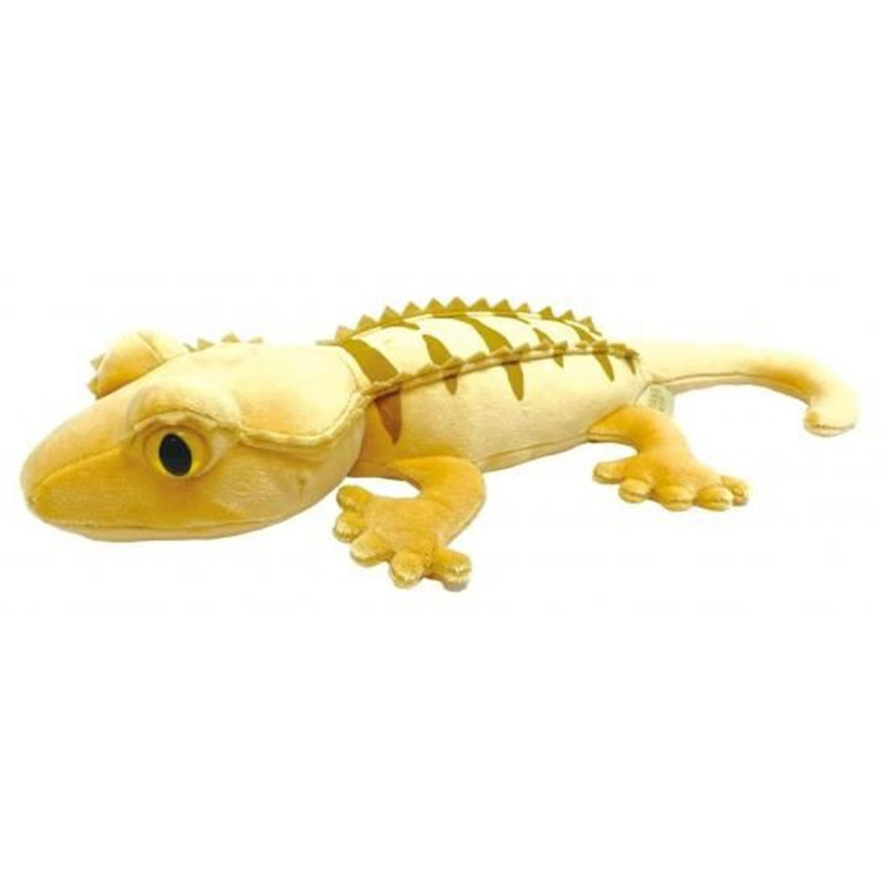 New Caledonian Crested Gecko