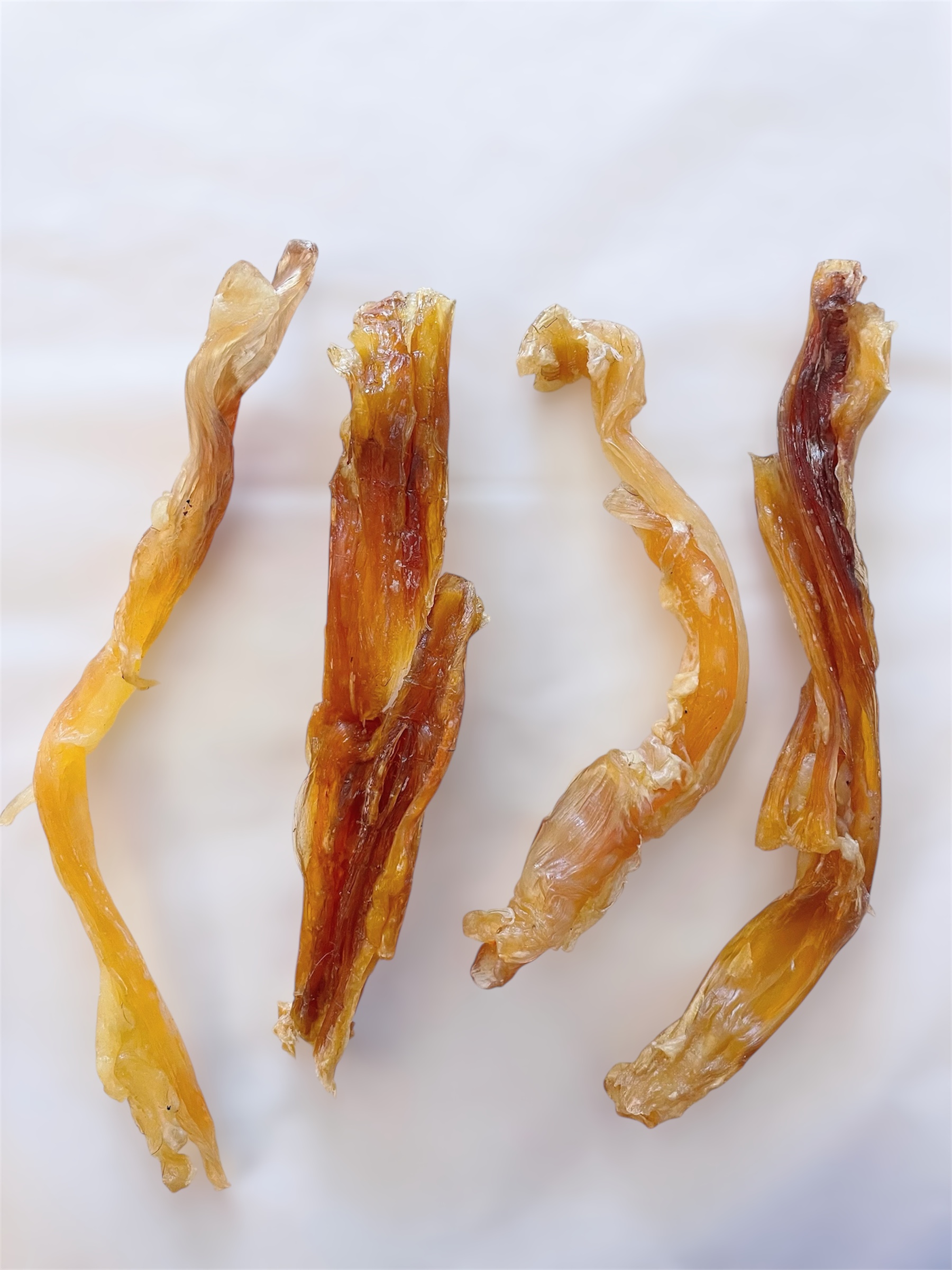 天然膠原牛筋(M)