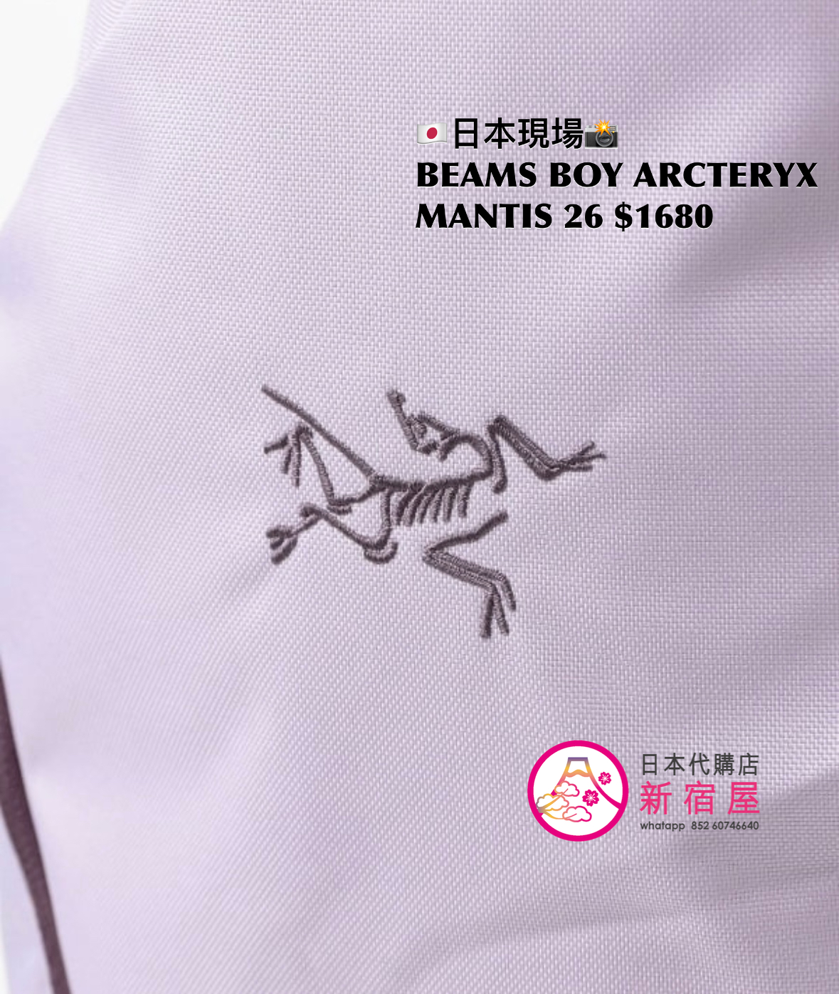 BEAMS BOY x ARCTERYX MANTIS 26