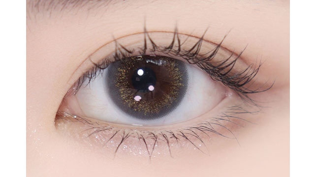 FOMOMY - Sweet Series Twinkle Navy (1day/10P)