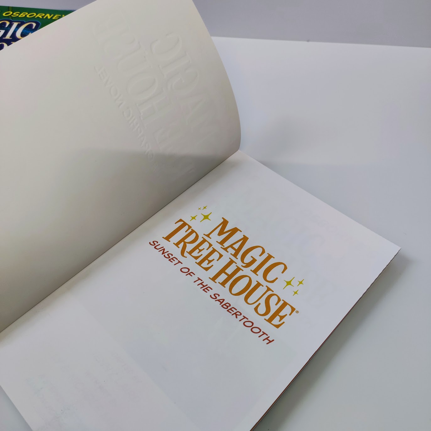 Magic Tree House   The Graphic Novel Series 7 books | 漫畫版神奇樹屋 1-7 |  B340