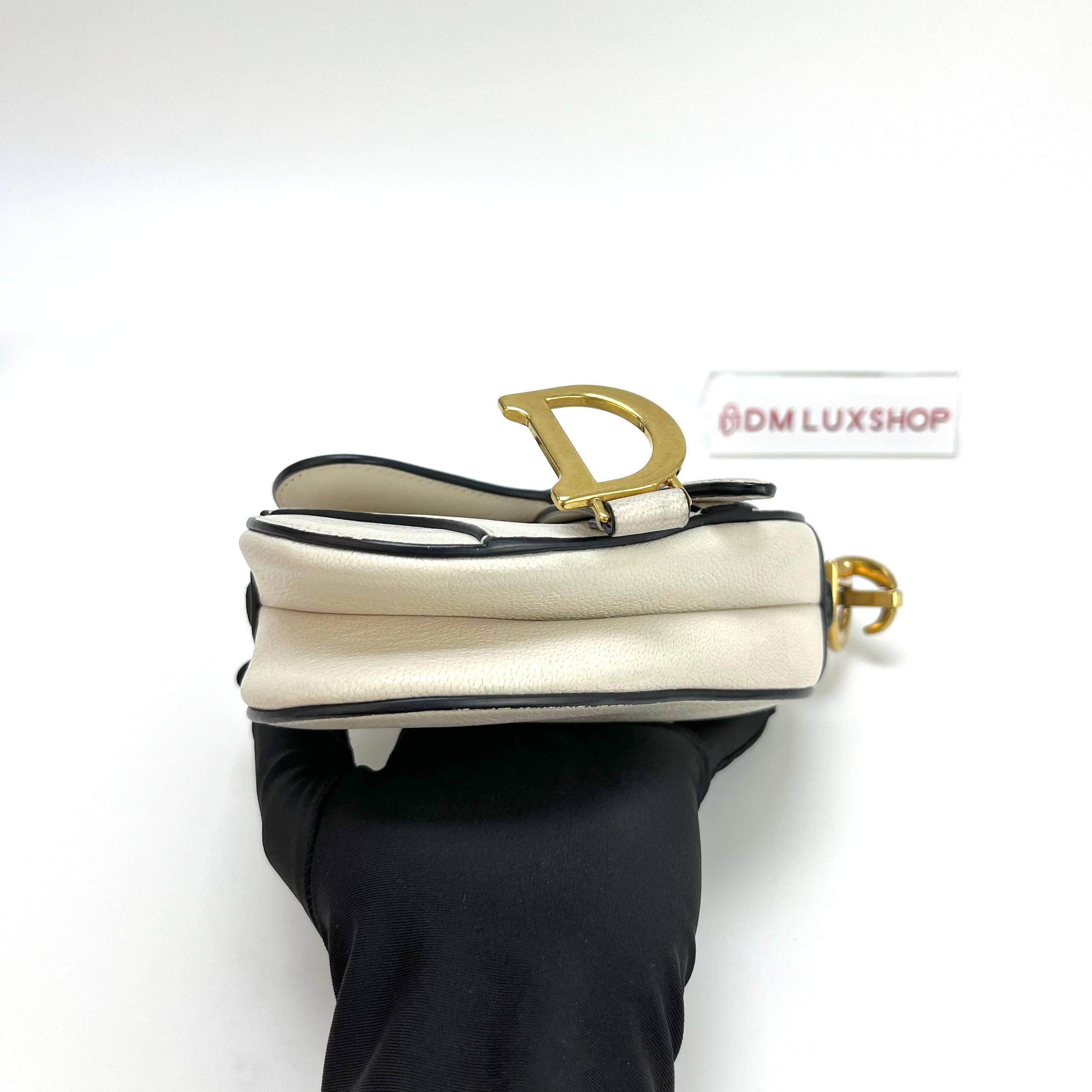 Dior White Micro Saddle GHW