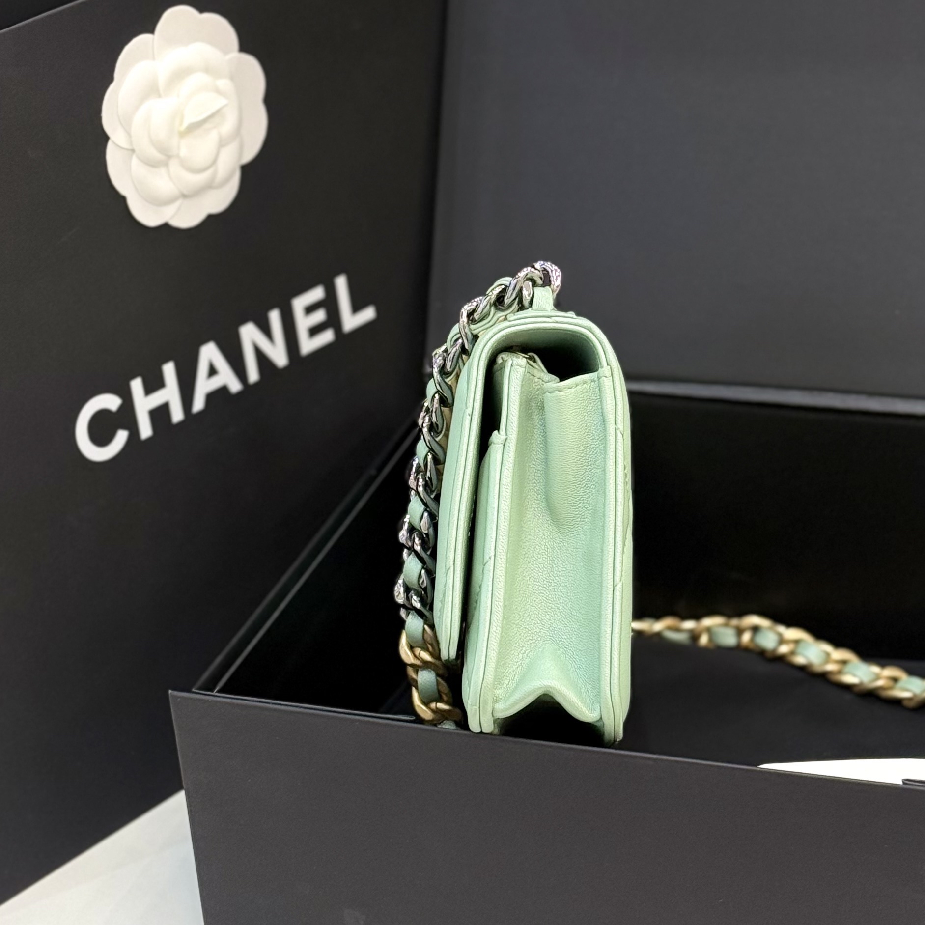 【預訂貨品】芯片款🪪 Chanel薄荷綠woc