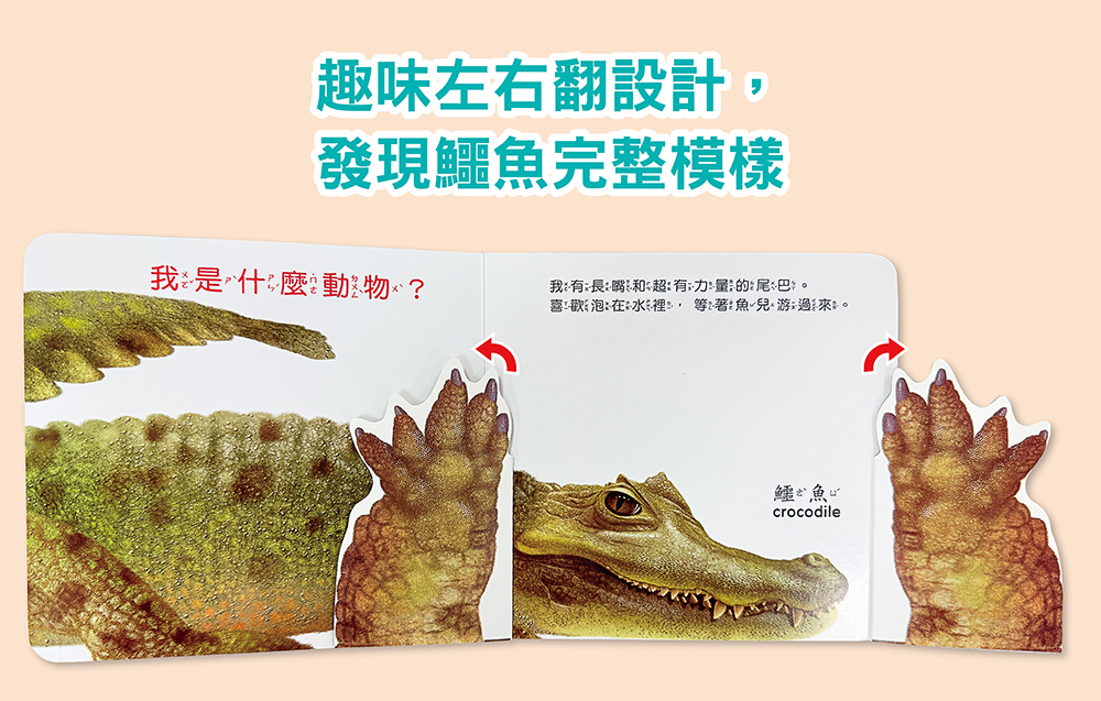 幼福 方形書【動物捉迷藏】