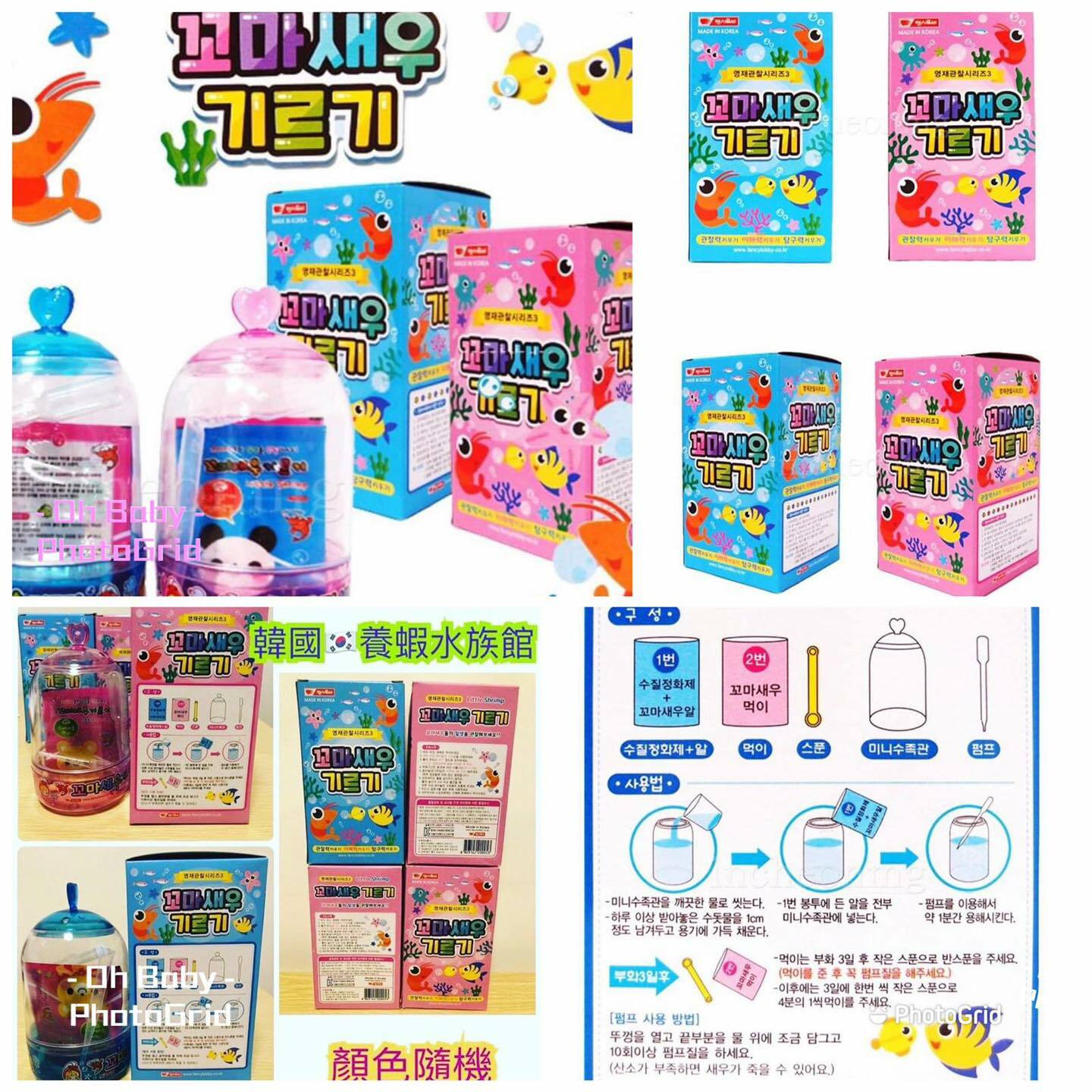 韓國神奇養蝦水族箱 (款式隨機) - 1套 - 現貨