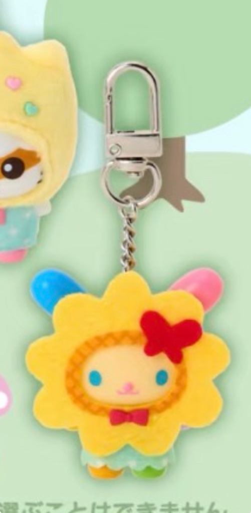 [現貨］🇯🇵日本直送sanrio6月盲盒指定款