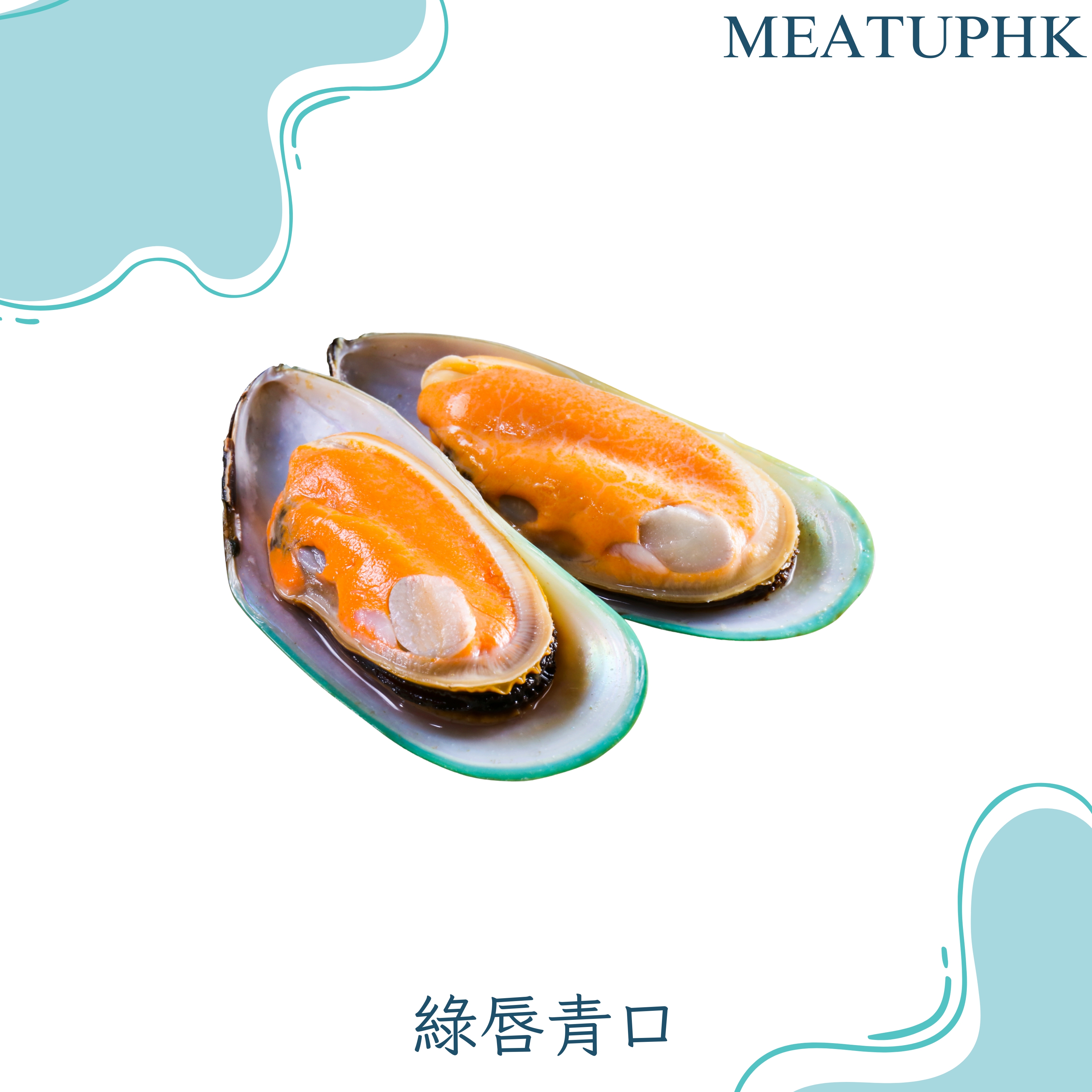紐西蘭綠唇青口