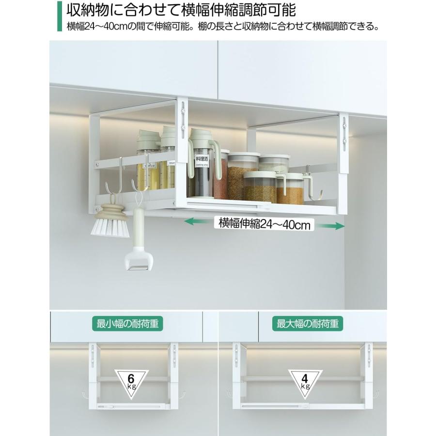 🔥🔥【日本直送《DAIWIN》可調寬度|高度掛式收納架】