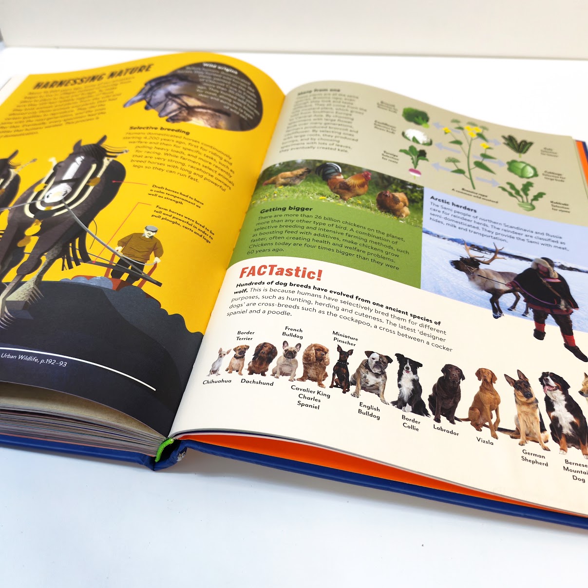 What on Earth! Children's Encyclopedia of science & nature  兒童科學與自然百科全書    B432