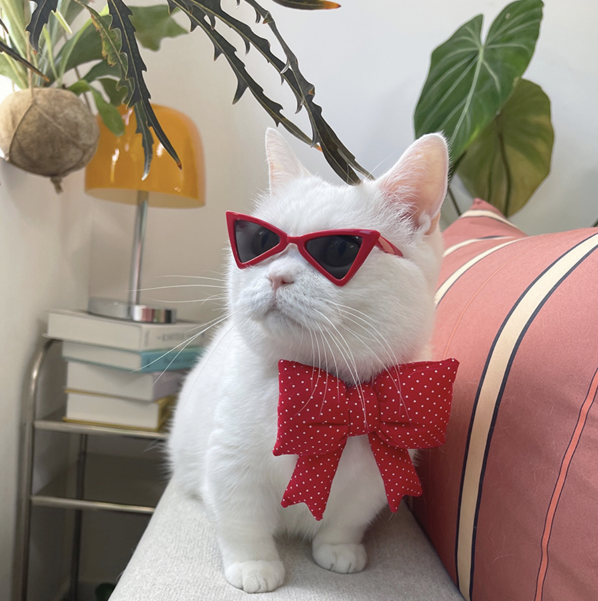 韓國🇰🇷 handmade 蝴蝶結頸帶