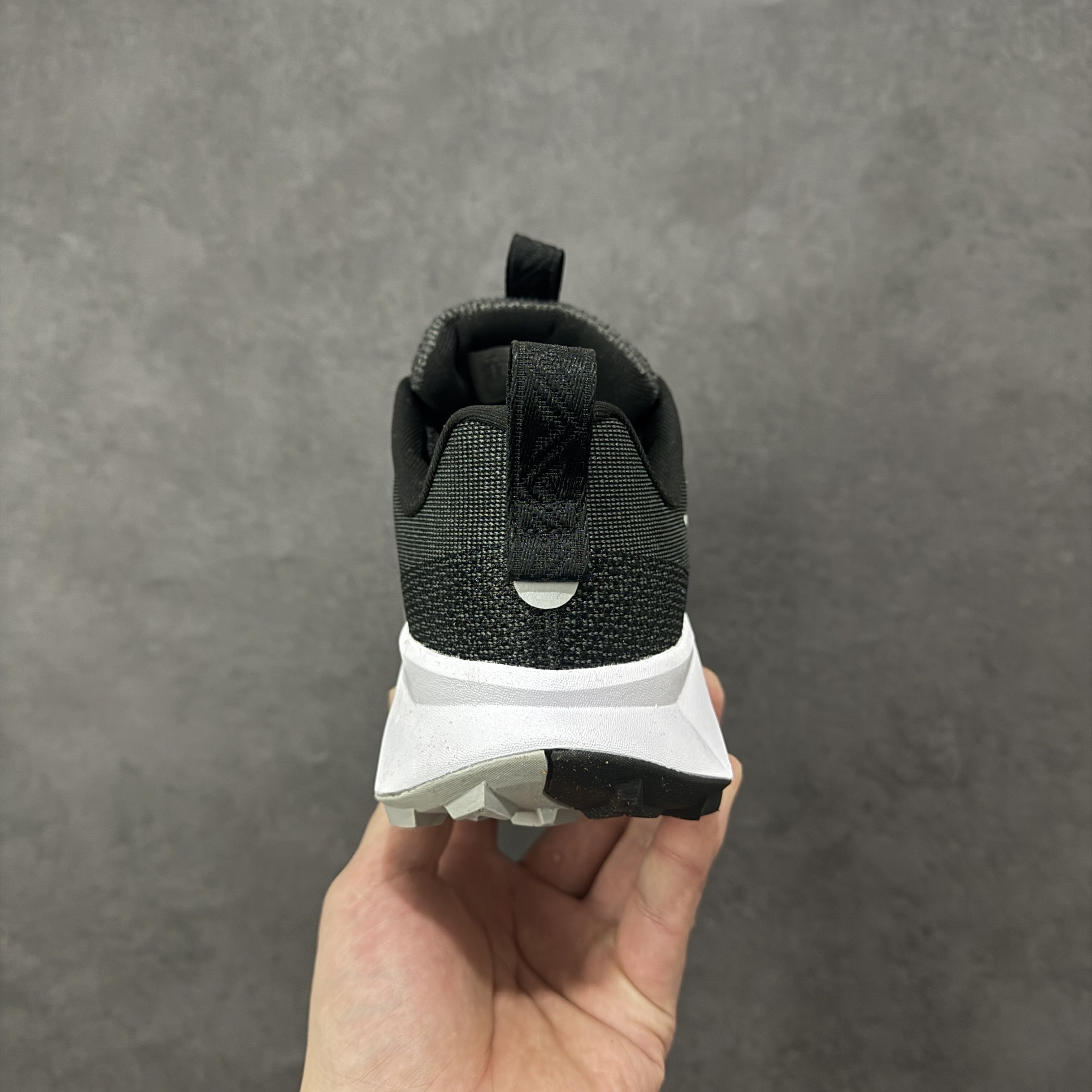 Nike Wildhorse 10 FV2338-001