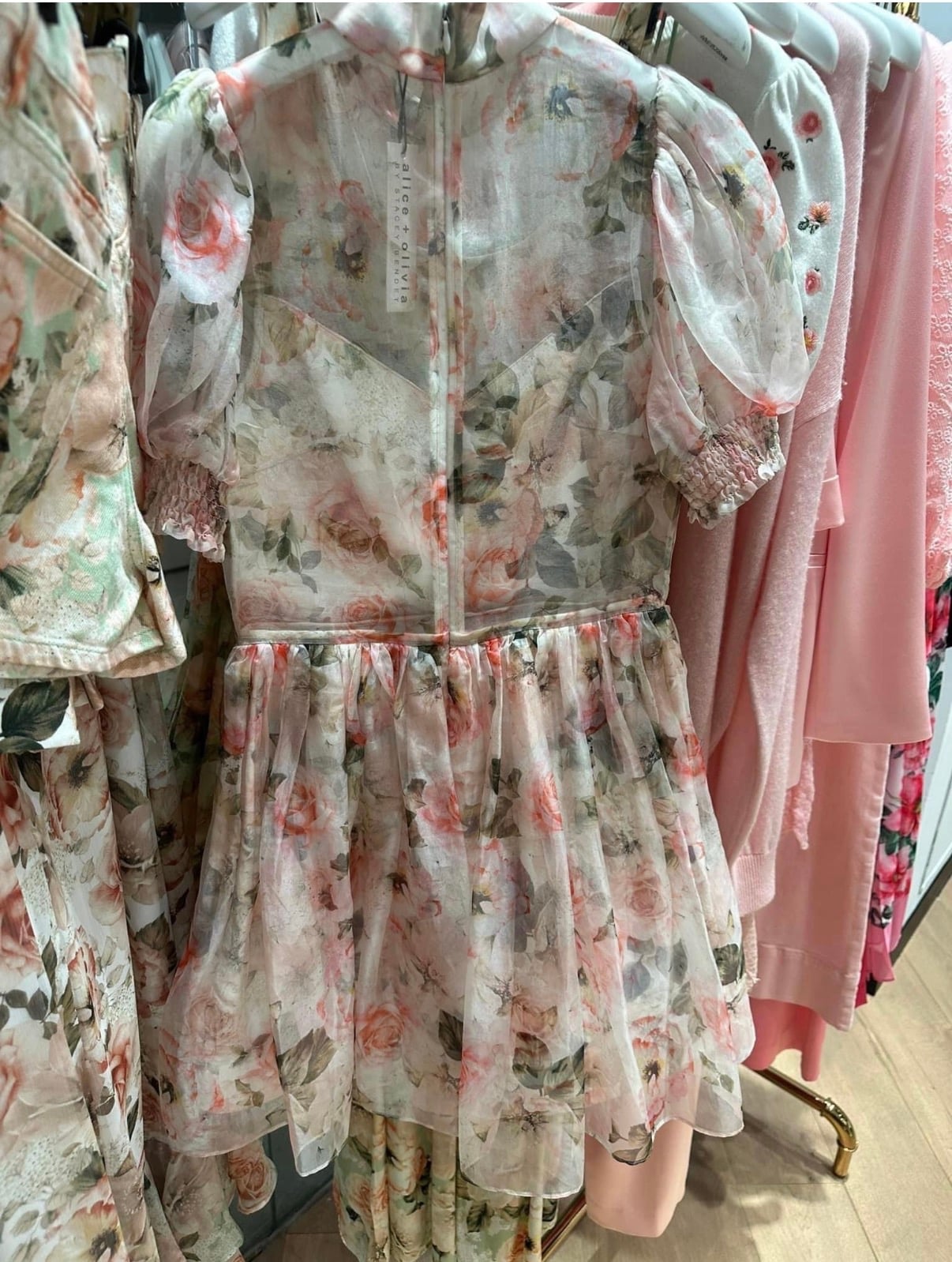 💋Alice Olivia 💄浪漫玫瑰花🌹裙