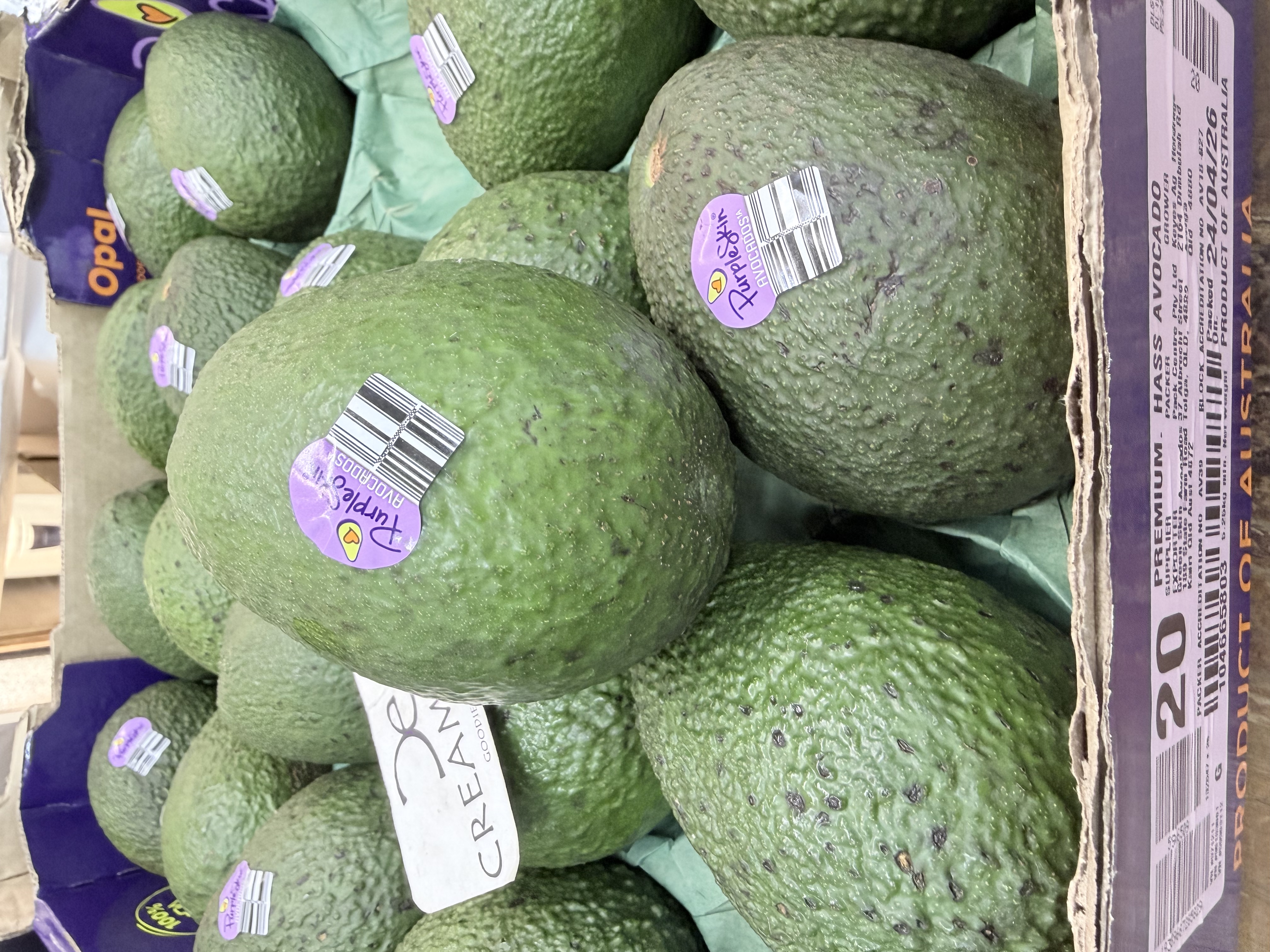 澳洲Hass 牛油果 Avocado 20裝 3個