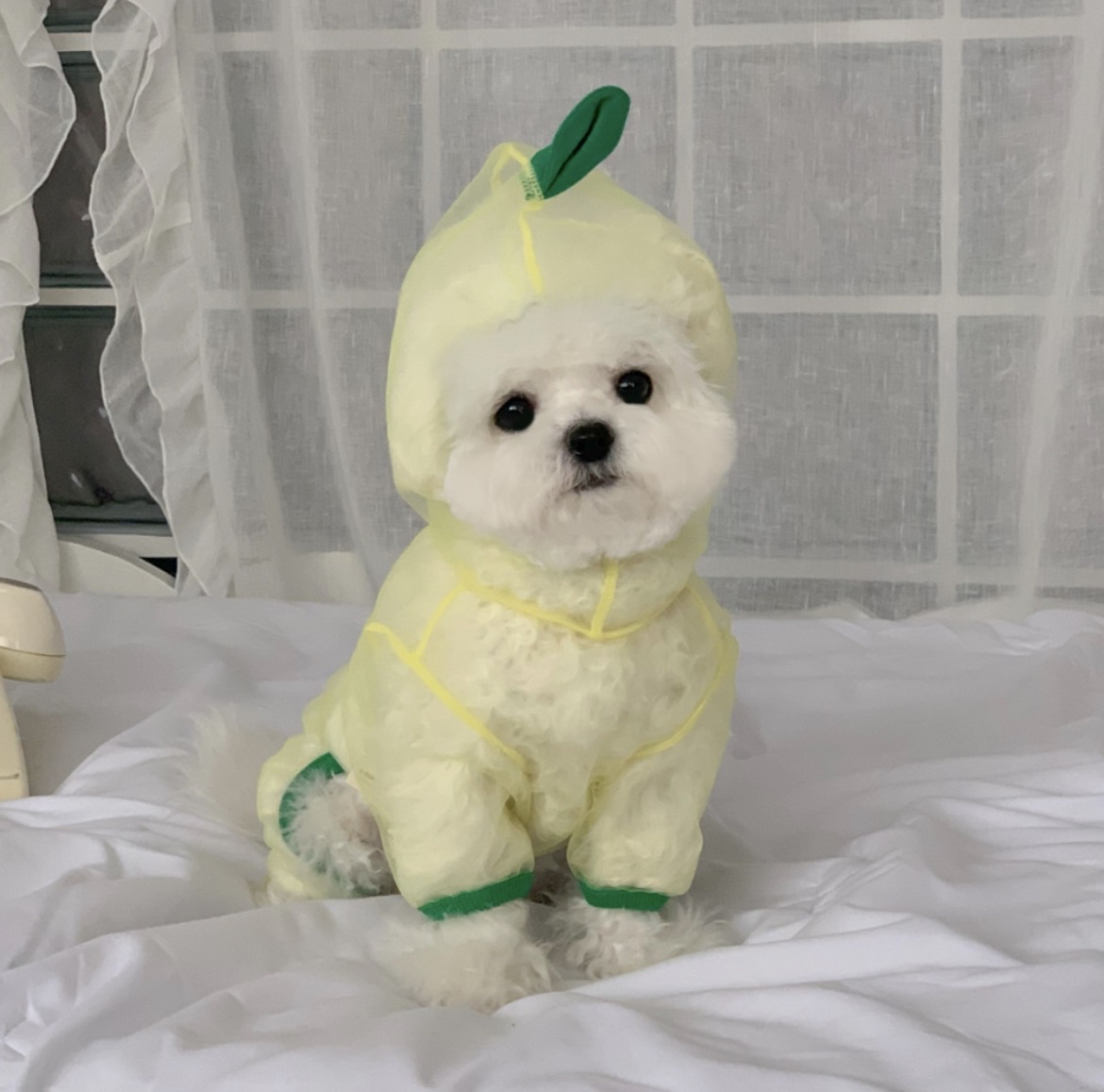 韓國🇰🇷水果造型防蟲衫