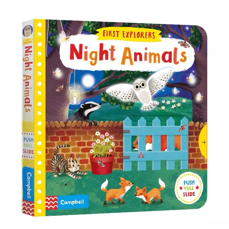 Night Animals