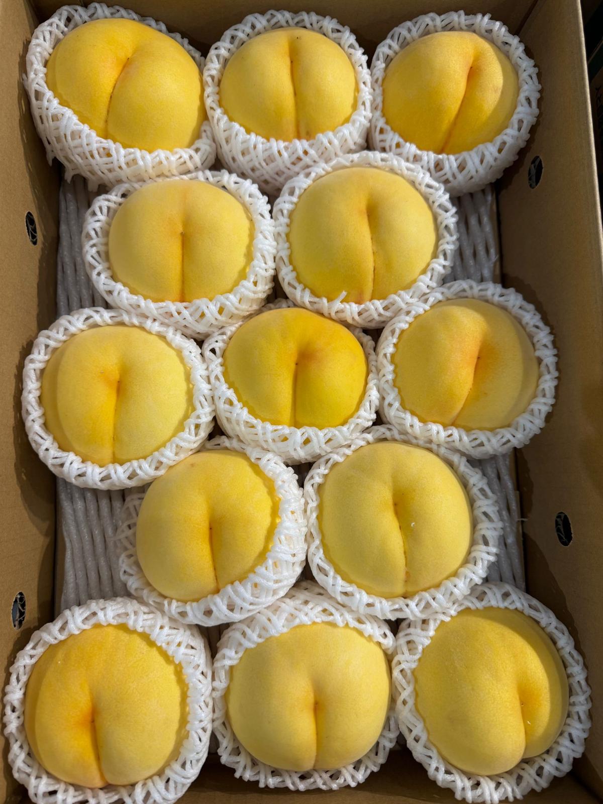 日本山形縣黃金水蜜桃(特秀)13/15玉@$880/盒
