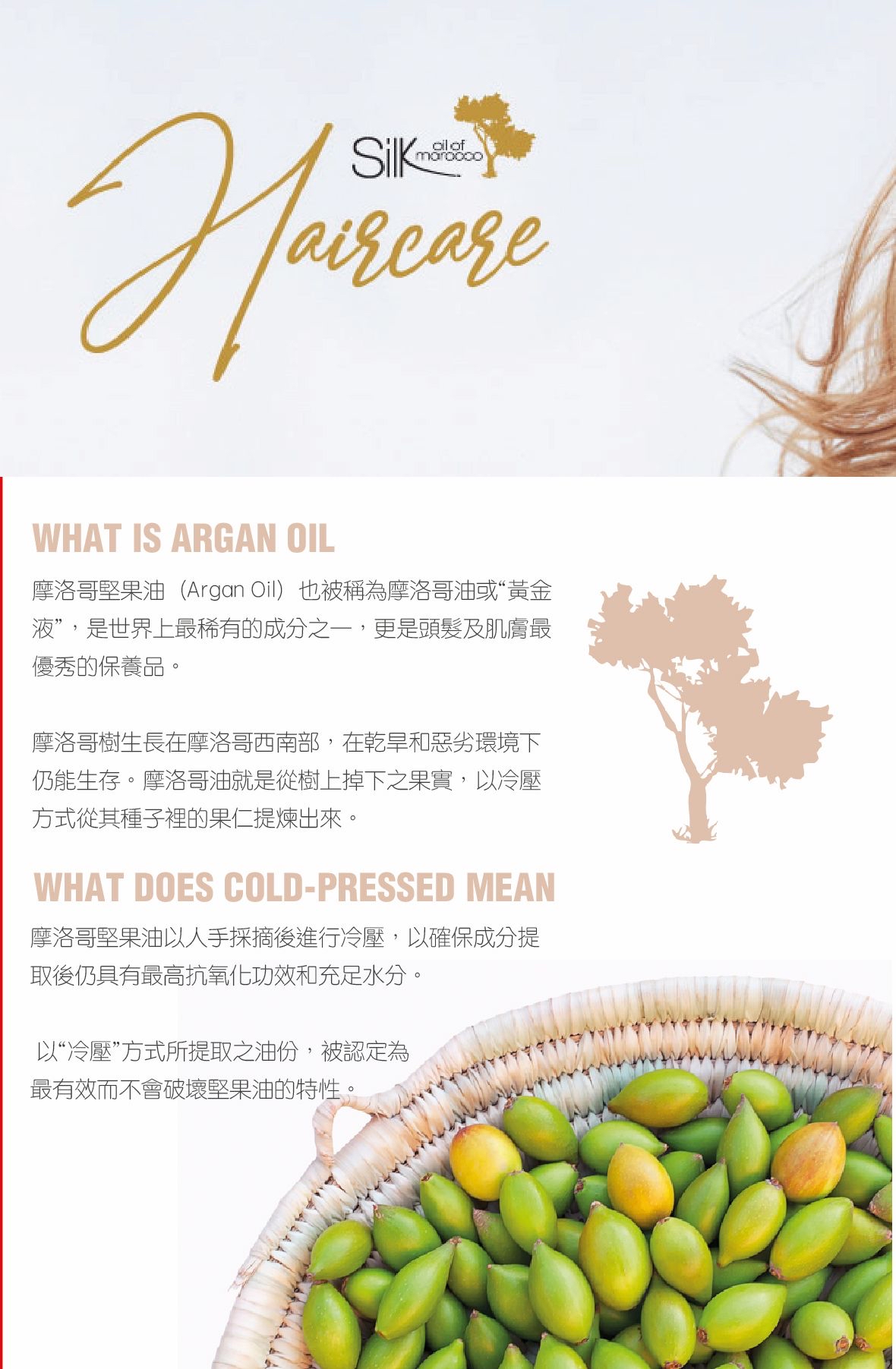 Silk Oil Of Morocco Argan Thermal Protection & Shine Spray 閃亮修護噴霧 125ml 